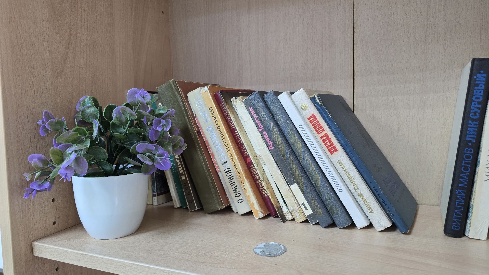 Коломна, буккроссинг, мфц,