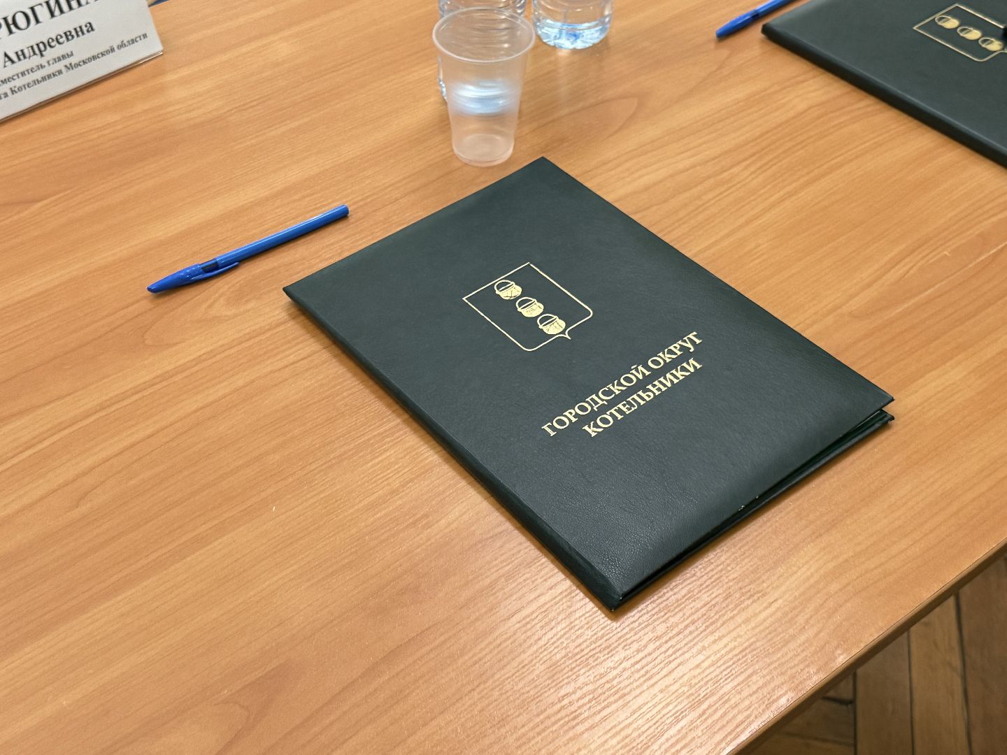 котельники, глава, выездная администиация, жители,