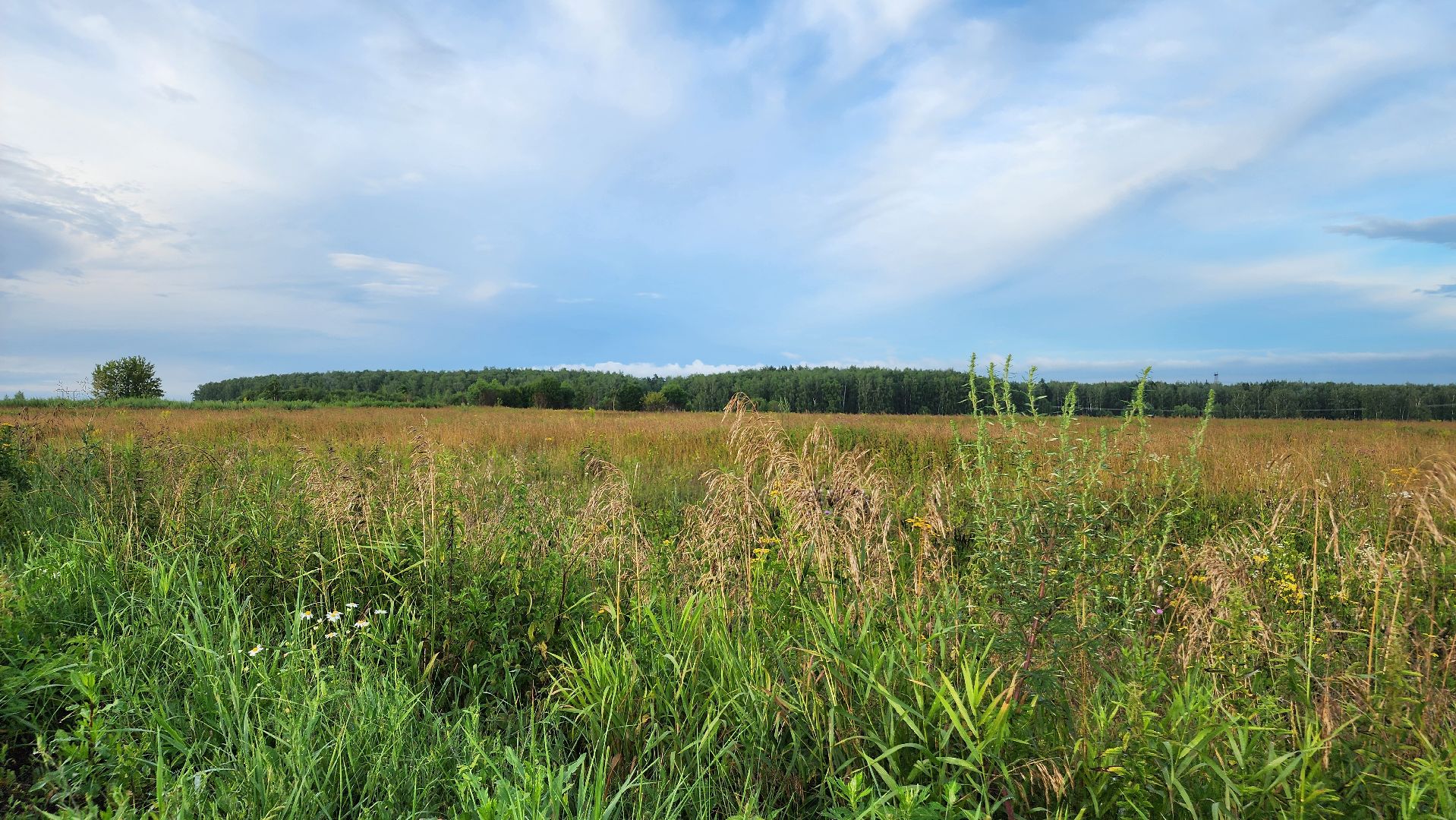 ступино, выездная администиация, экономика,