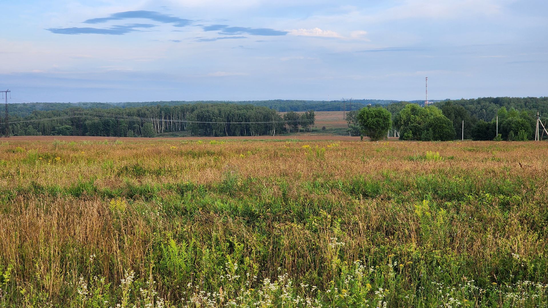 ступино, выездная администиация, экономика,