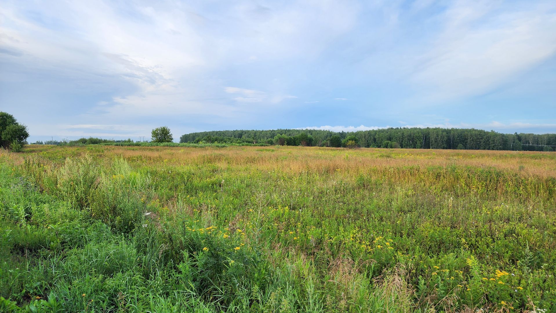 ступино, выездная администиация, экономика,