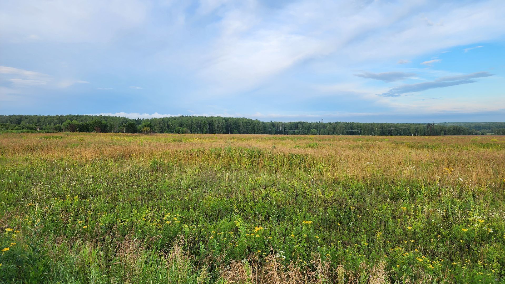 ступино, выездная администиация, экономика,