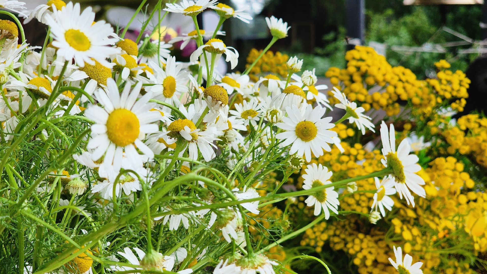 Руза, Серебряный звон, Фестиваль звонарного мастерства,