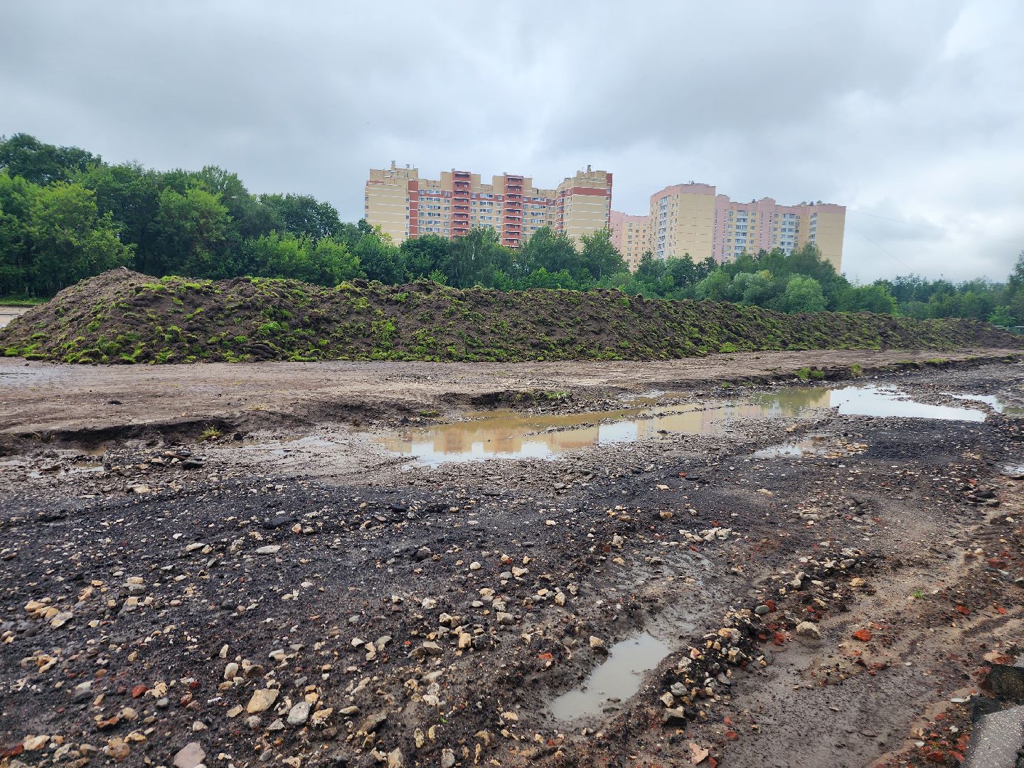 фрязино, спортивная школа, реконструкция стадиона, олимп,
