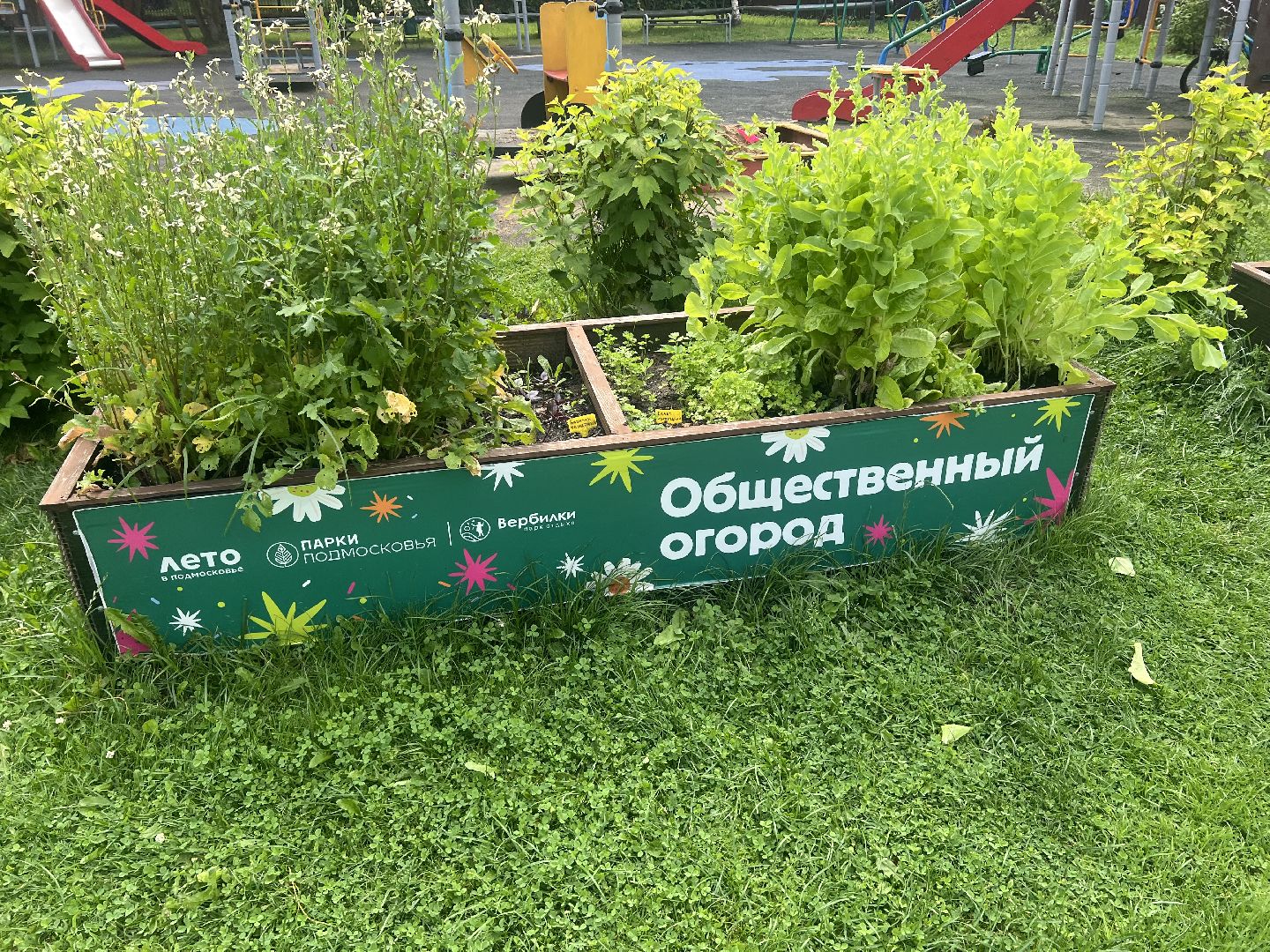 Парк вербилки, талдомский городской округ, благоустройство,