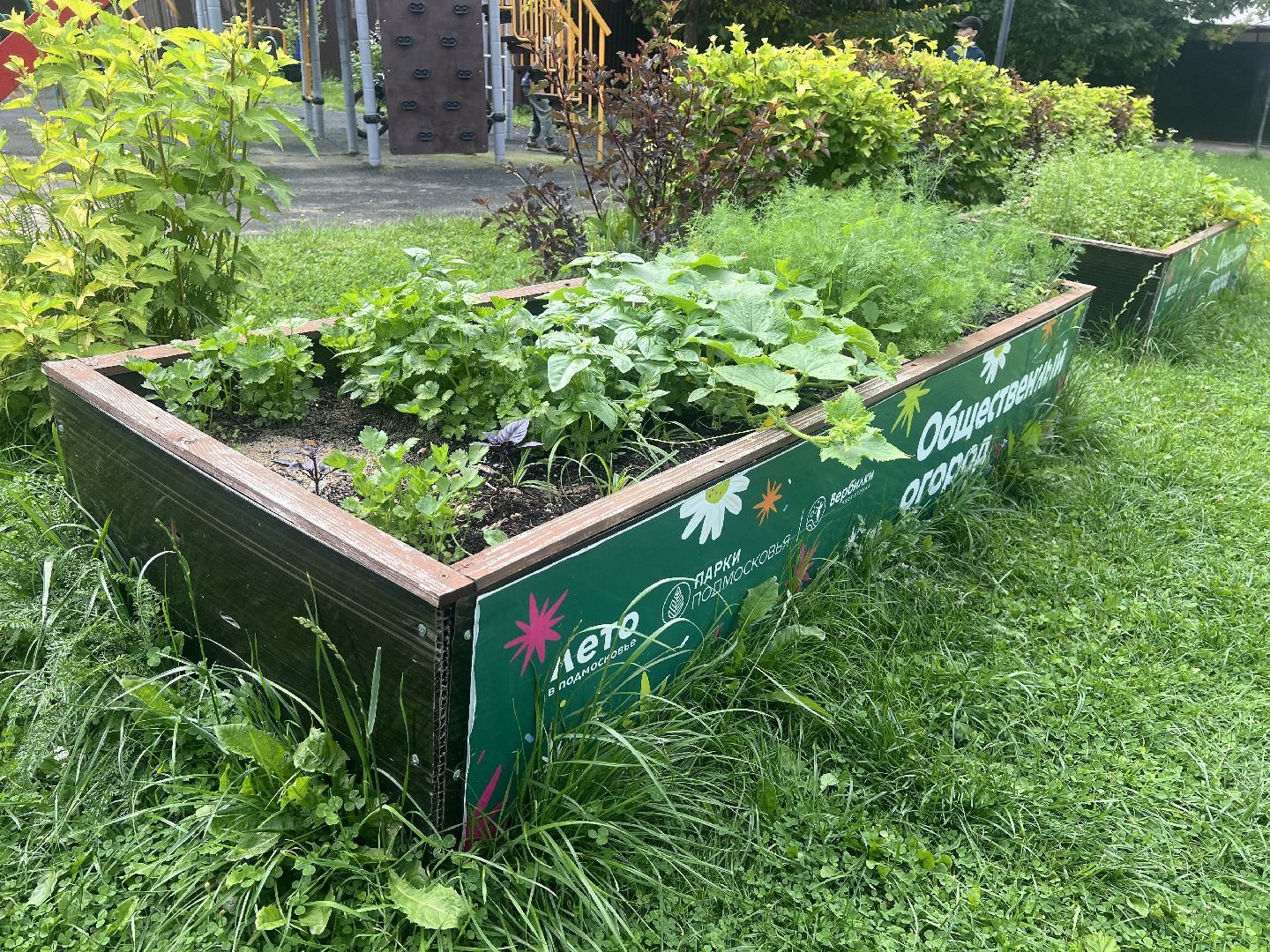 Парк вербилки, талдомский городской округ, благоустройство,