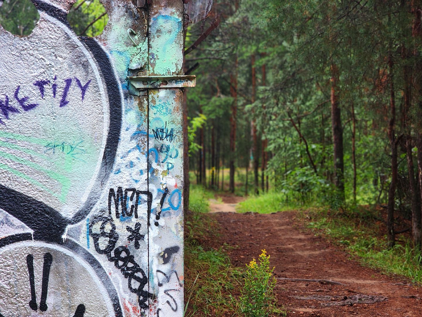 дубна, чернореченский лес, совет депутатов, благоустройство, лесопарк, лесопарковая зона отдыха,