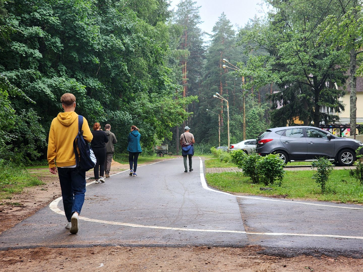 дубна, чернореченский лес, совет депутатов, благоустройство, лесопарк, лесопарковая зона отдыха,