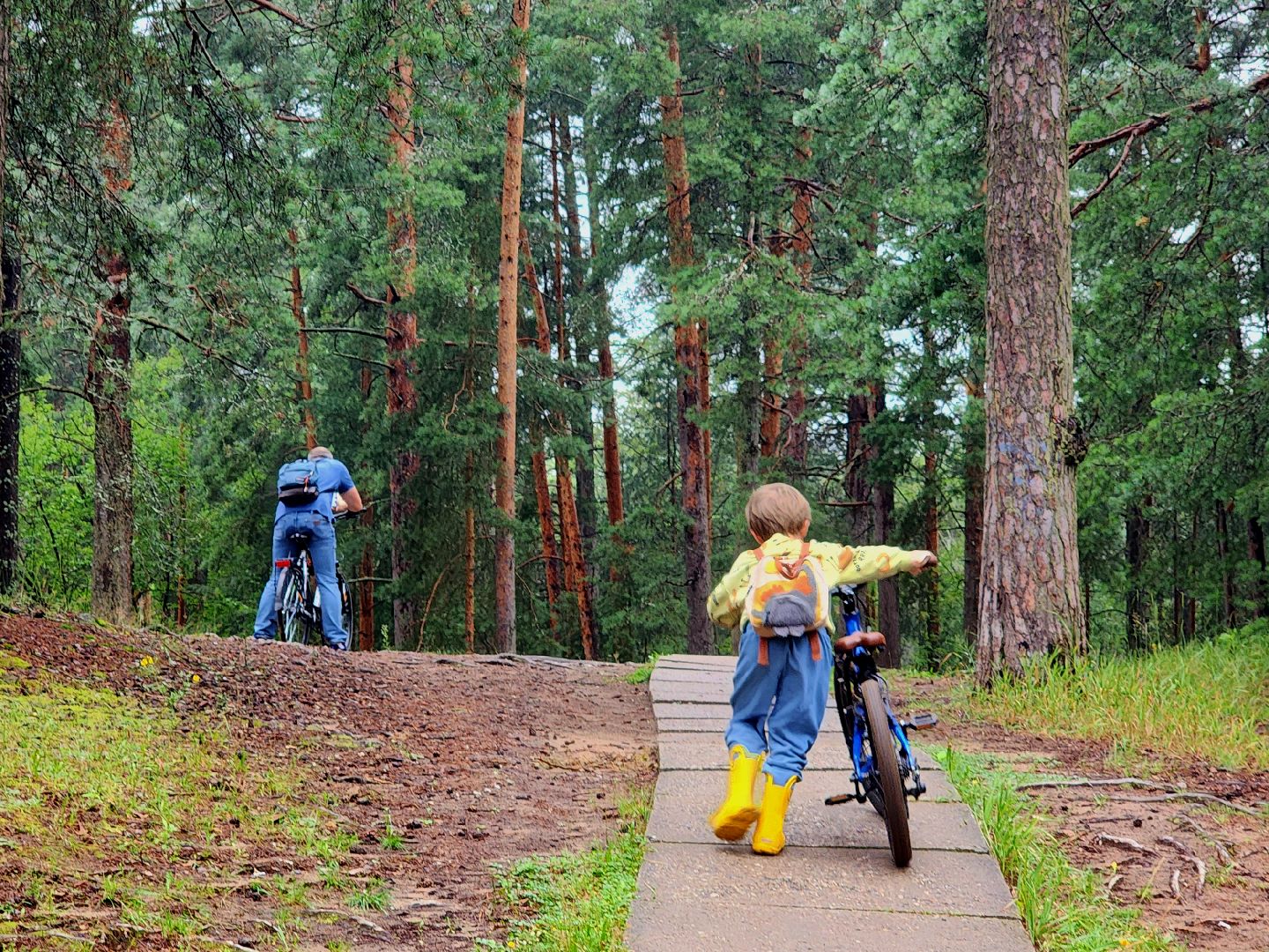 дубна, чернореченский лес, совет депутатов, благоустройство, лесопарк, лесопарковая зона отдыха,