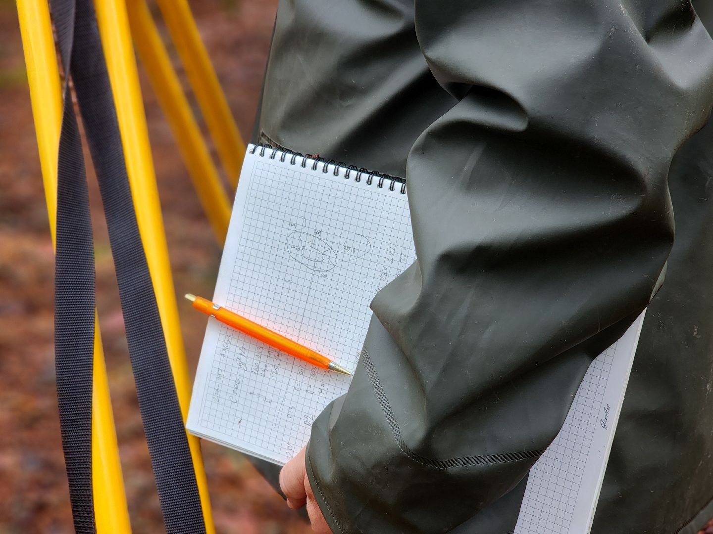 дубна, чернореченский лес, совет депутатов, благоустройство, лесопарк, лесопарковая зона отдыха,