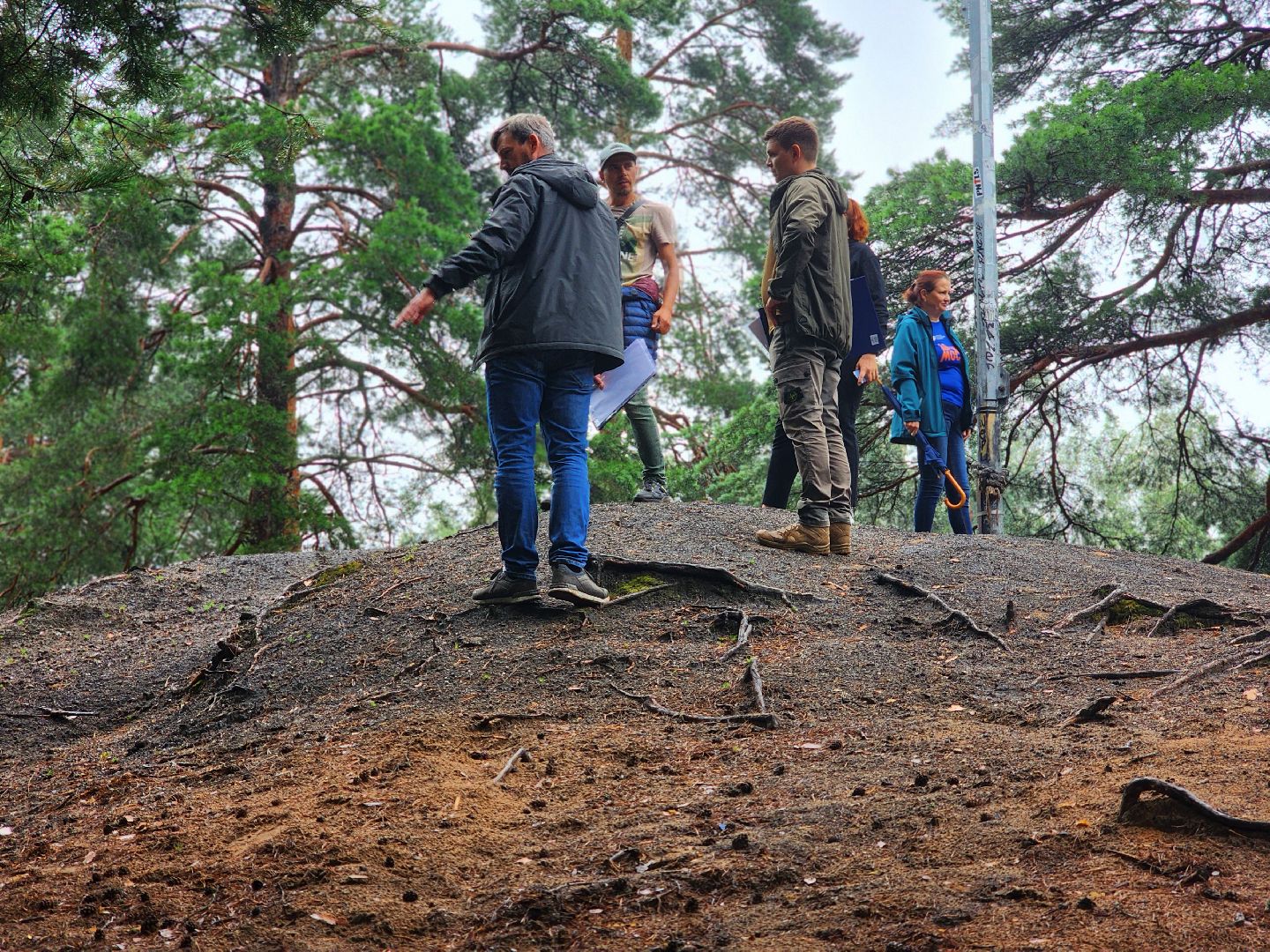 дубна, чернореченский лес, совет депутатов, благоустройство, лесопарк, лесопарковая зона отдыха,