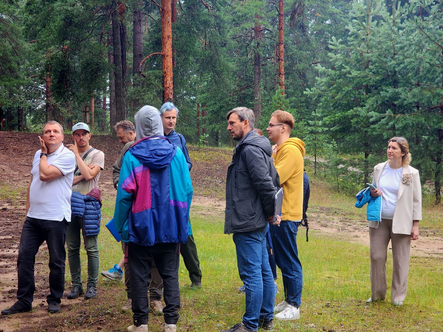 дубна, чернореченский лес, совет депутатов, благоустройство, лесопарк, лесопарковая зона отдыха,