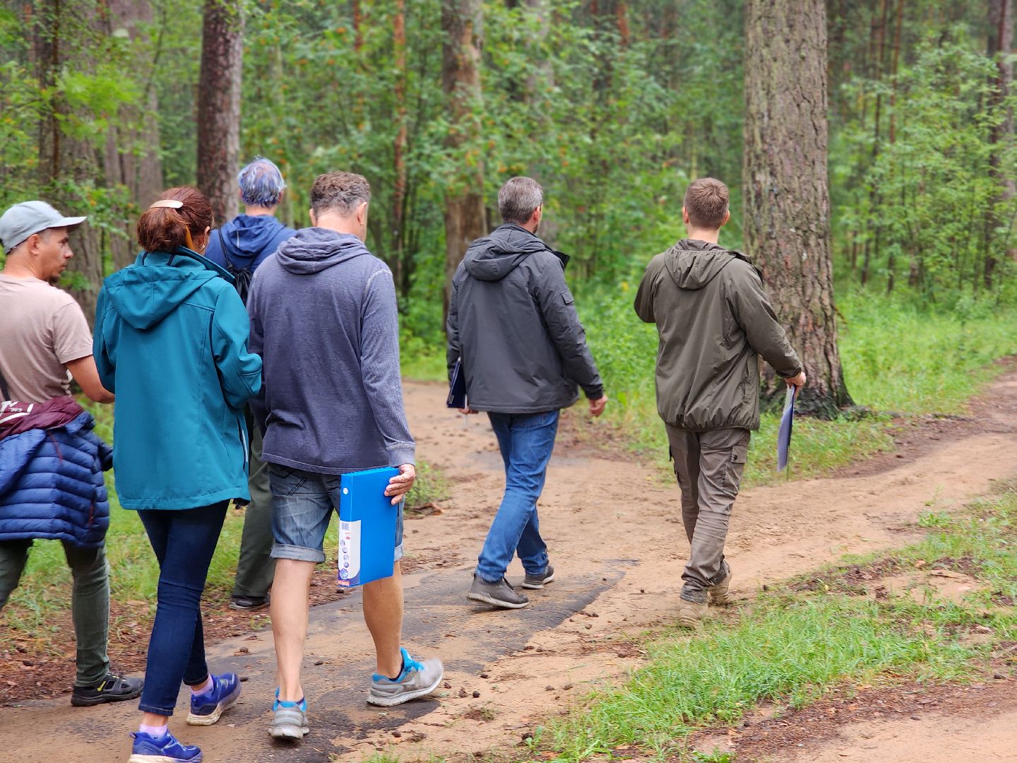 дубна, чернореченский лес, совет депутатов, благоустройство, лесопарк, лесопарковая зона отдыха,