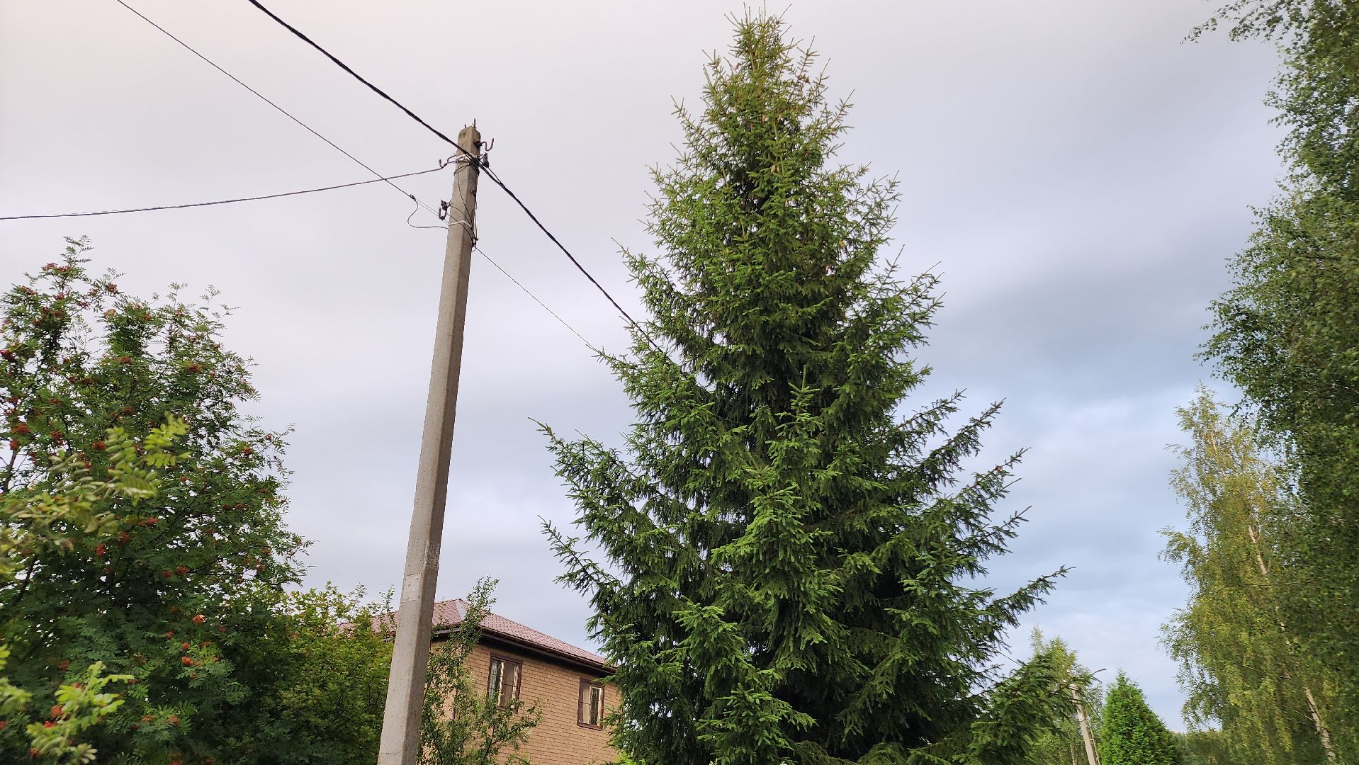 ступино, выездная администрация, безопасность,