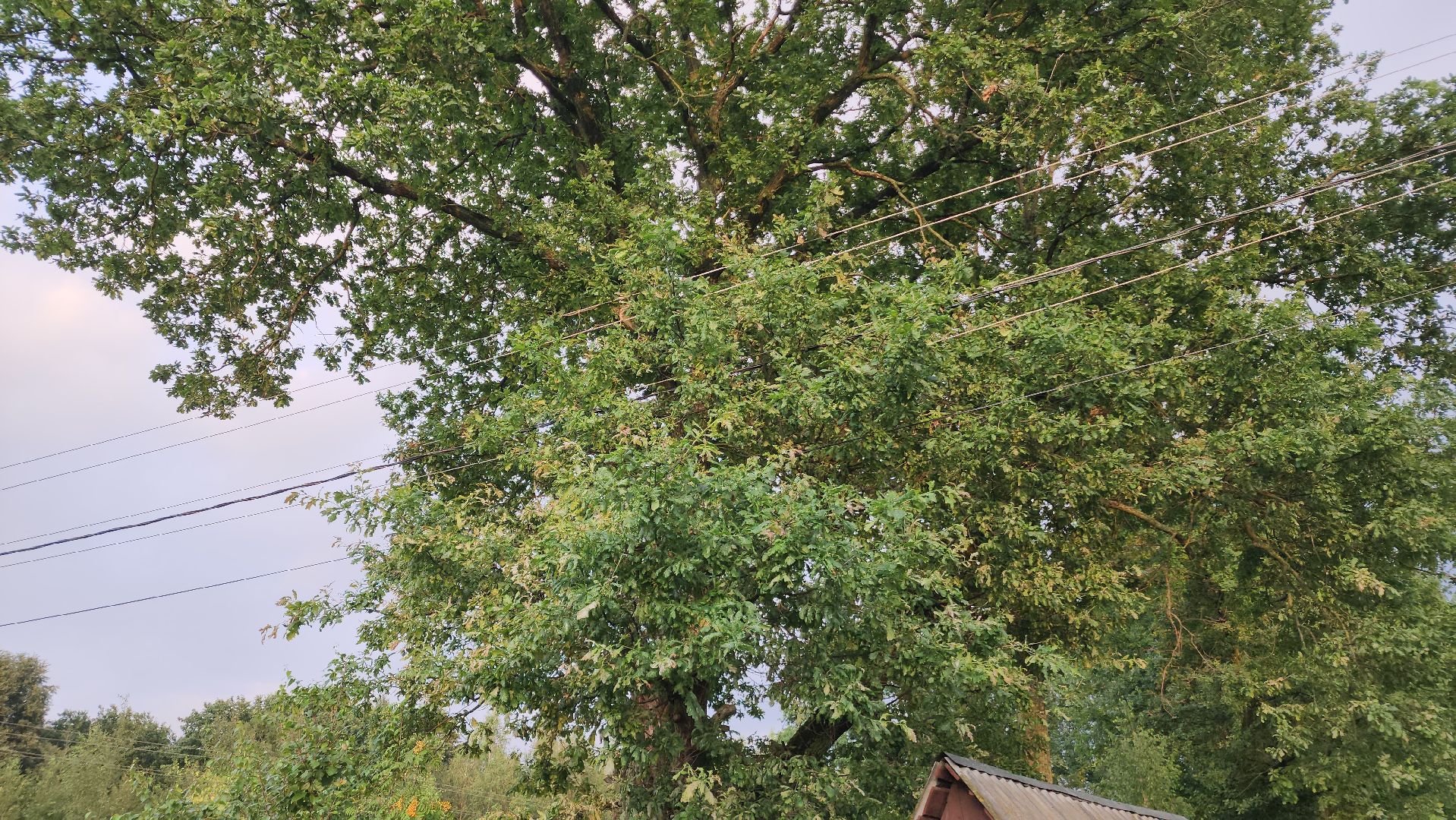 ступино, выездная администрация, безопасность,