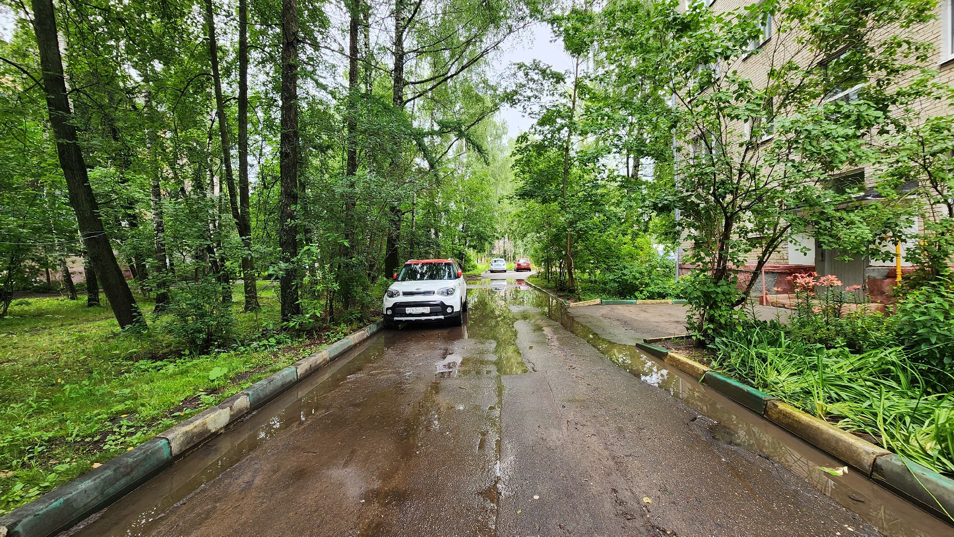 солнечногорск, улица баранова, ливень, жкх,