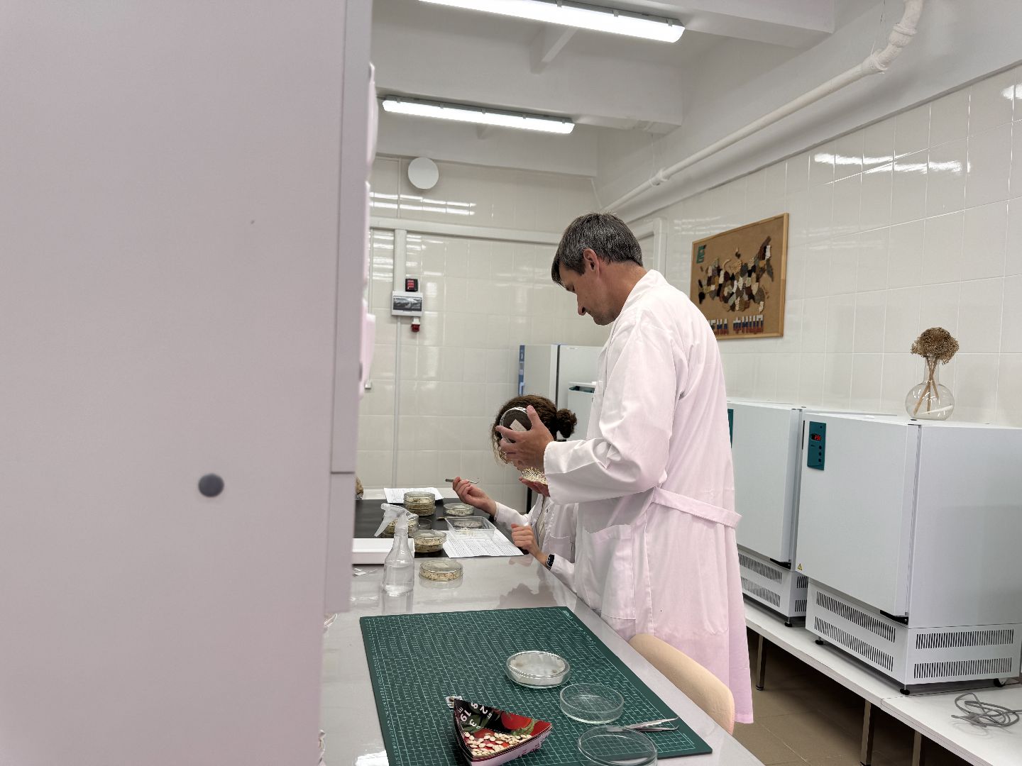 Продовольственная безопасность, Федеральный научный центр овощеводства, Доктрина, Молодежь в науке,