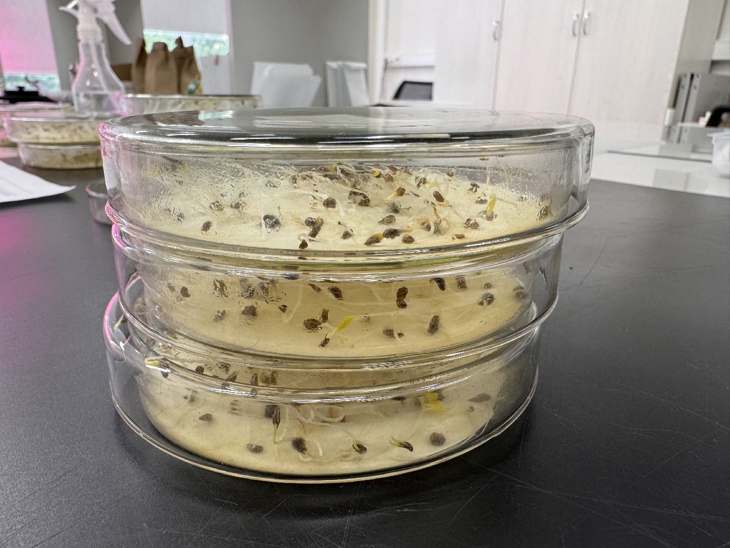 Продовольственная безопасность, Федеральный научный центр овощеводства, Доктрина, Молодежь в науке,