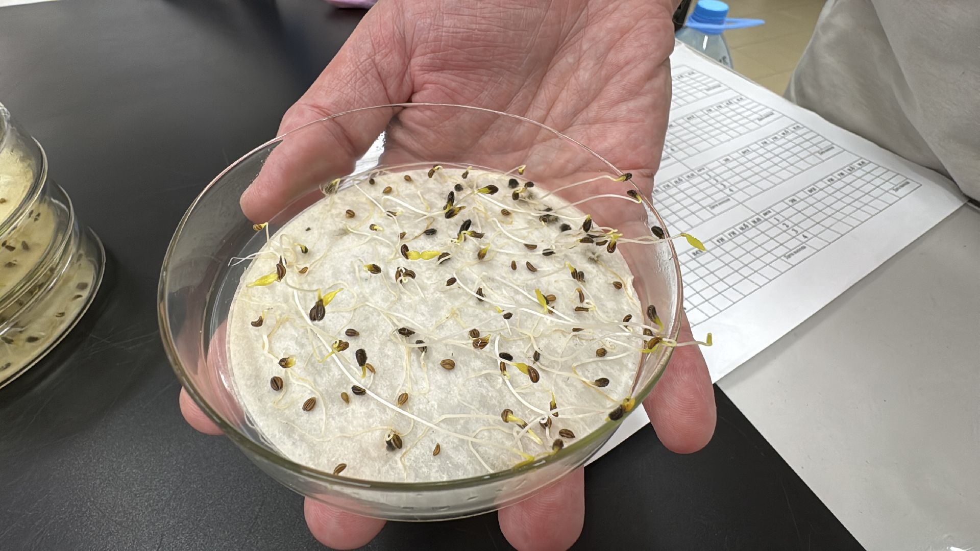 Продовольственная безопасность, Федеральный научный центр овощеводства, Доктрина, Молодежь в науке,