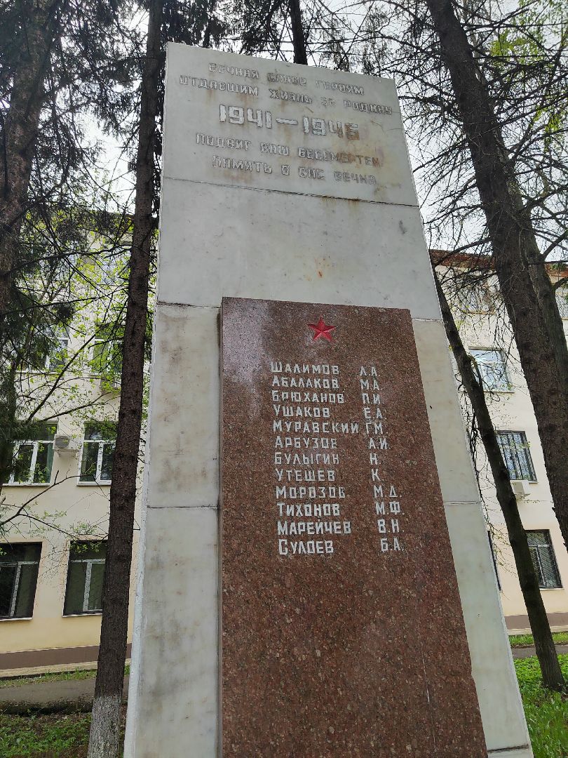 Пушкино, Пушкинский округ, 9 мая День Победы, Единая Россия