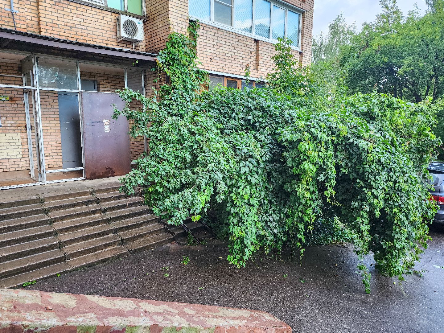 подольск, выездная администрация, благоустройство,  обращение жителей,