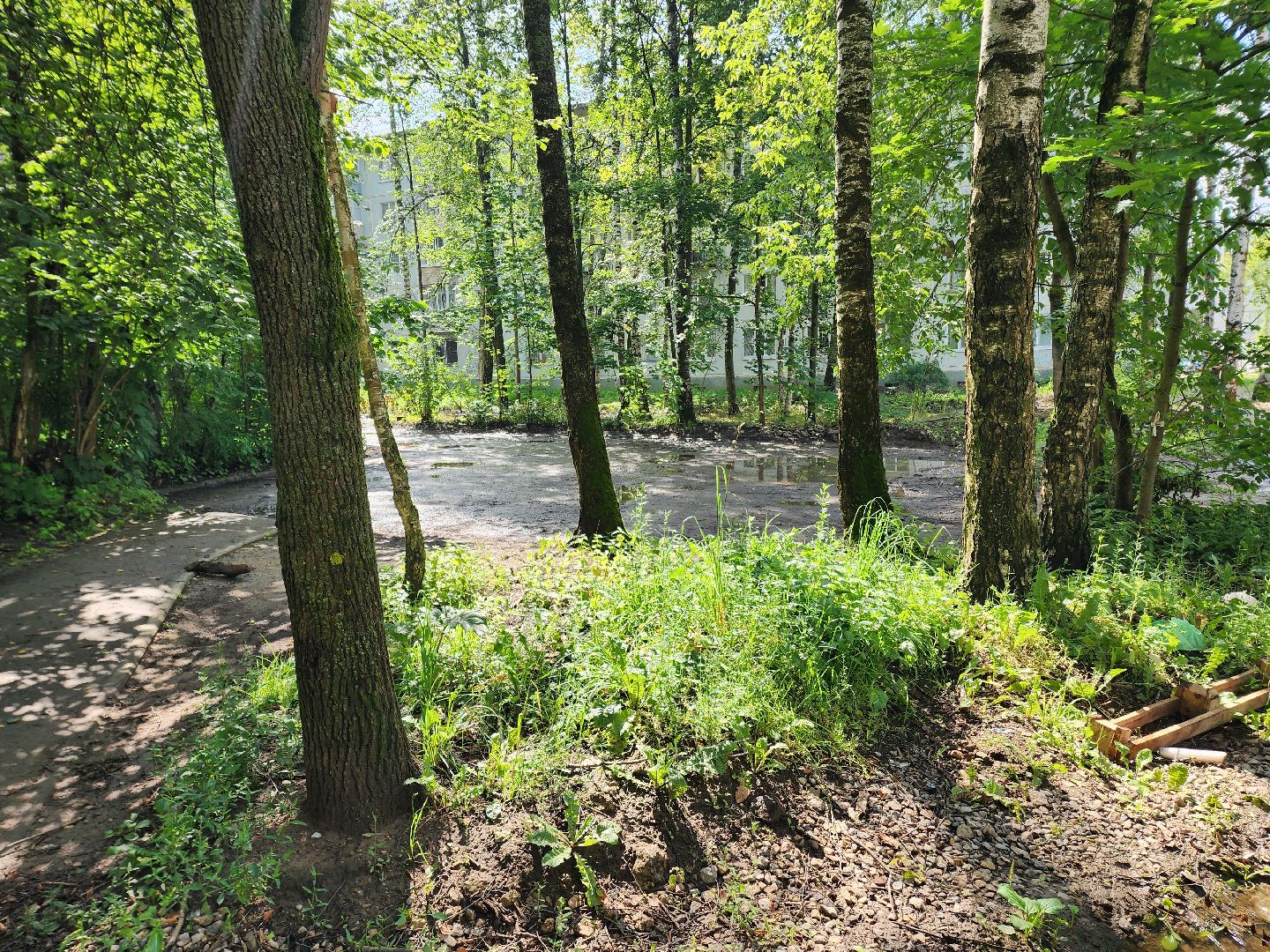 солнечногорск, жители , коммунальщики , двор, дождь,