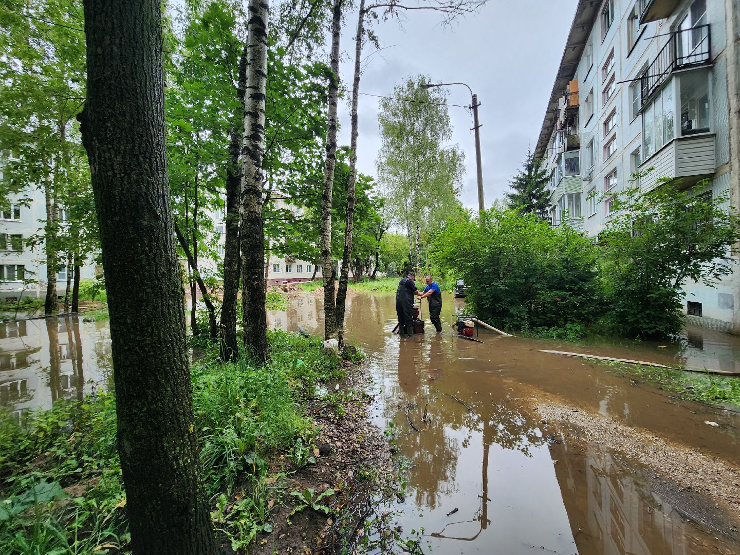 солнечногорск, жители , коммунальщики , двор, дождь,