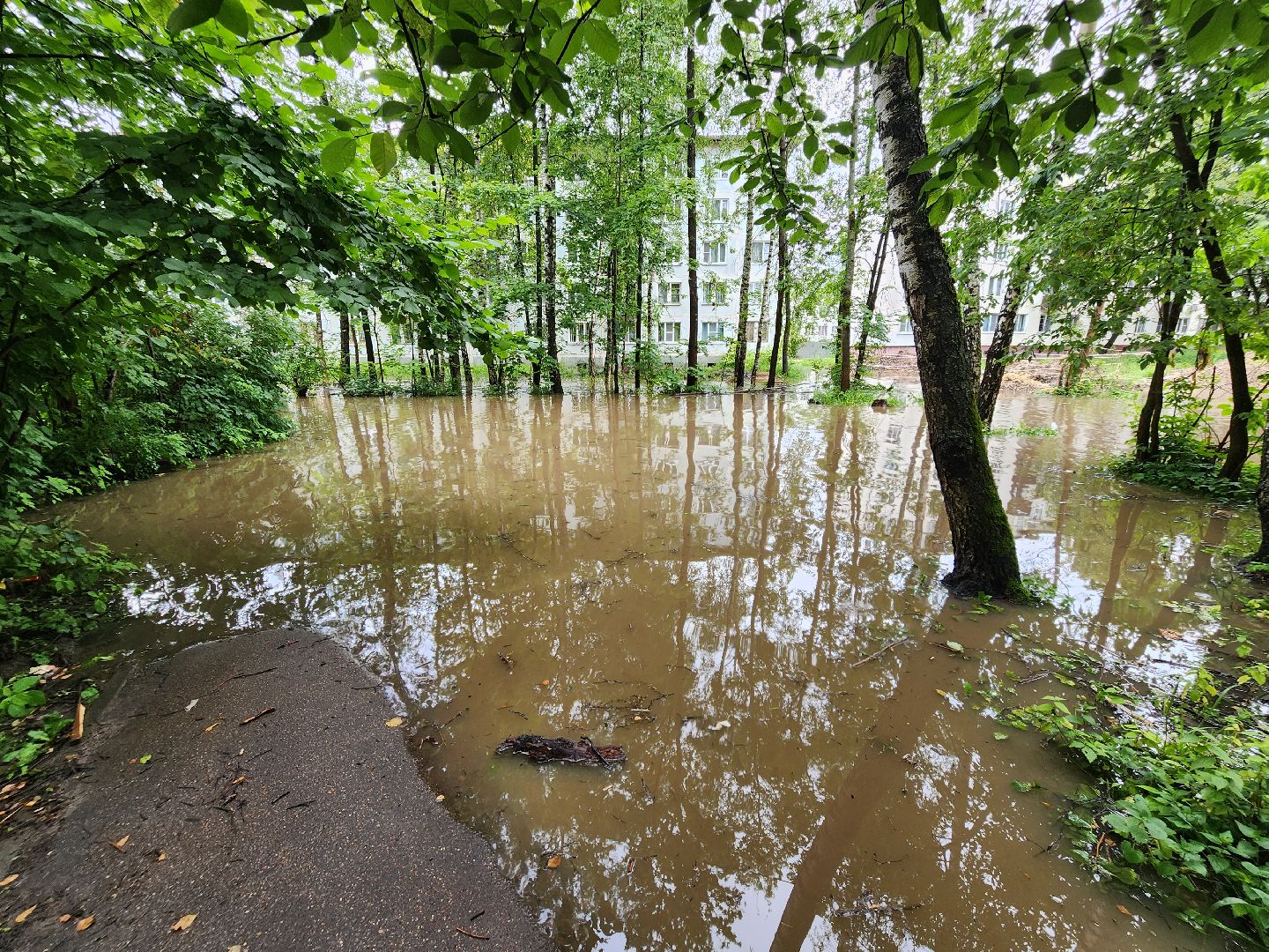 солнечногорск, жители , коммунальщики , двор, дождь,