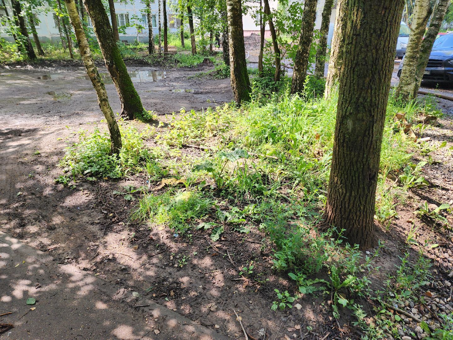 солнечногорск, жители , коммунальщики , двор, дождь,