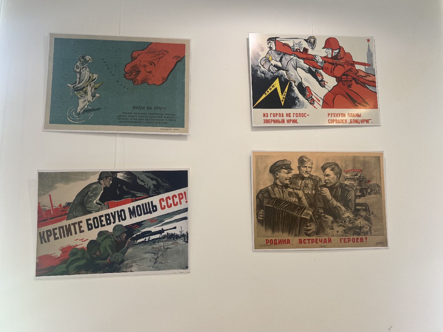 Вербилки , Библиотека , талдомский городской округ, выстовка,