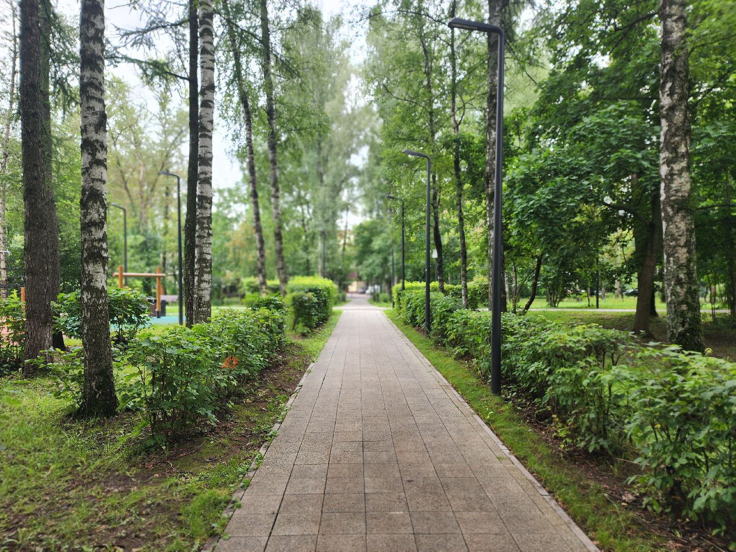 королёв, благоустройство , добродел, сквер имени бруя,