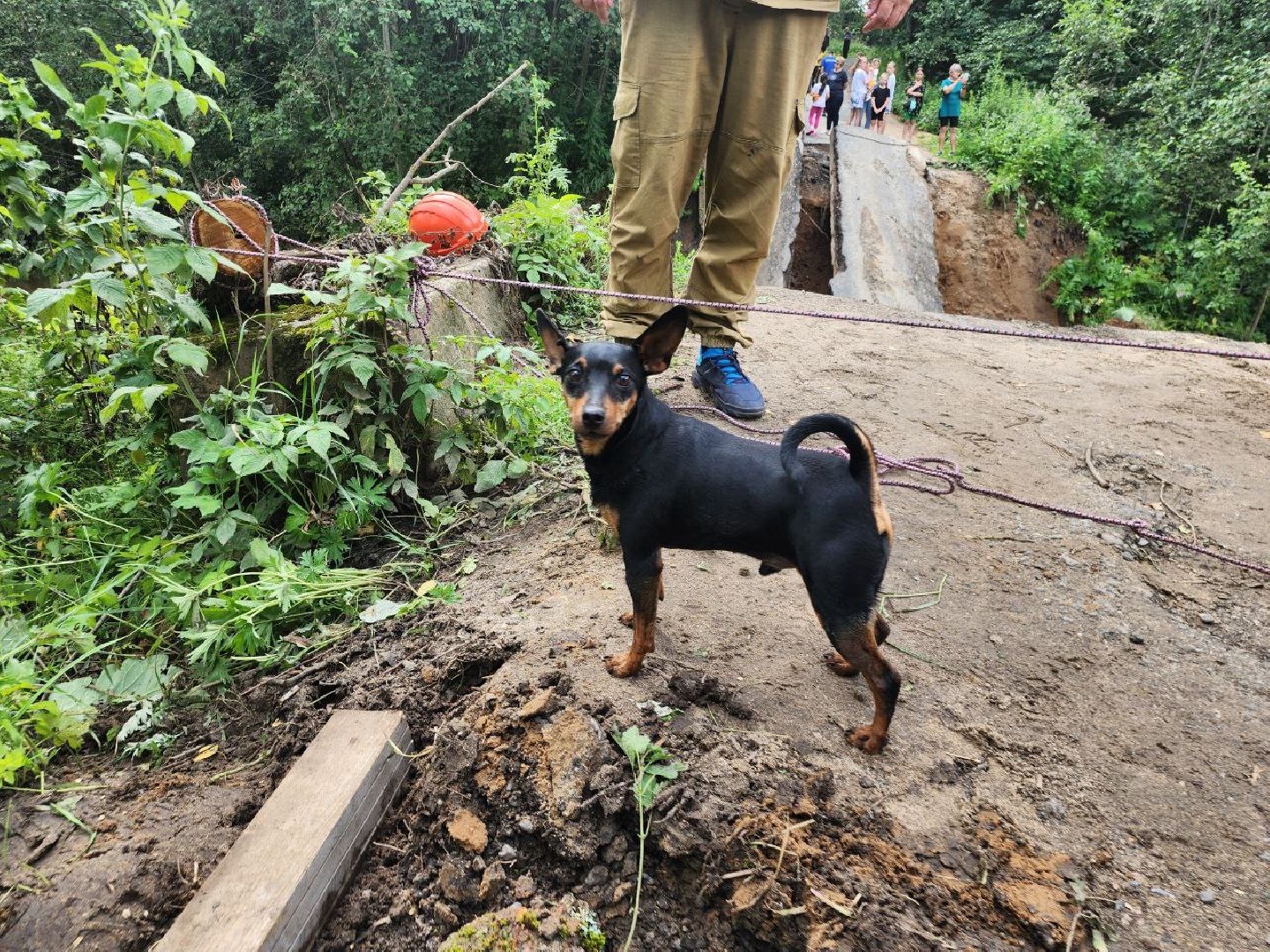 Истра, ЧП, Дороги,