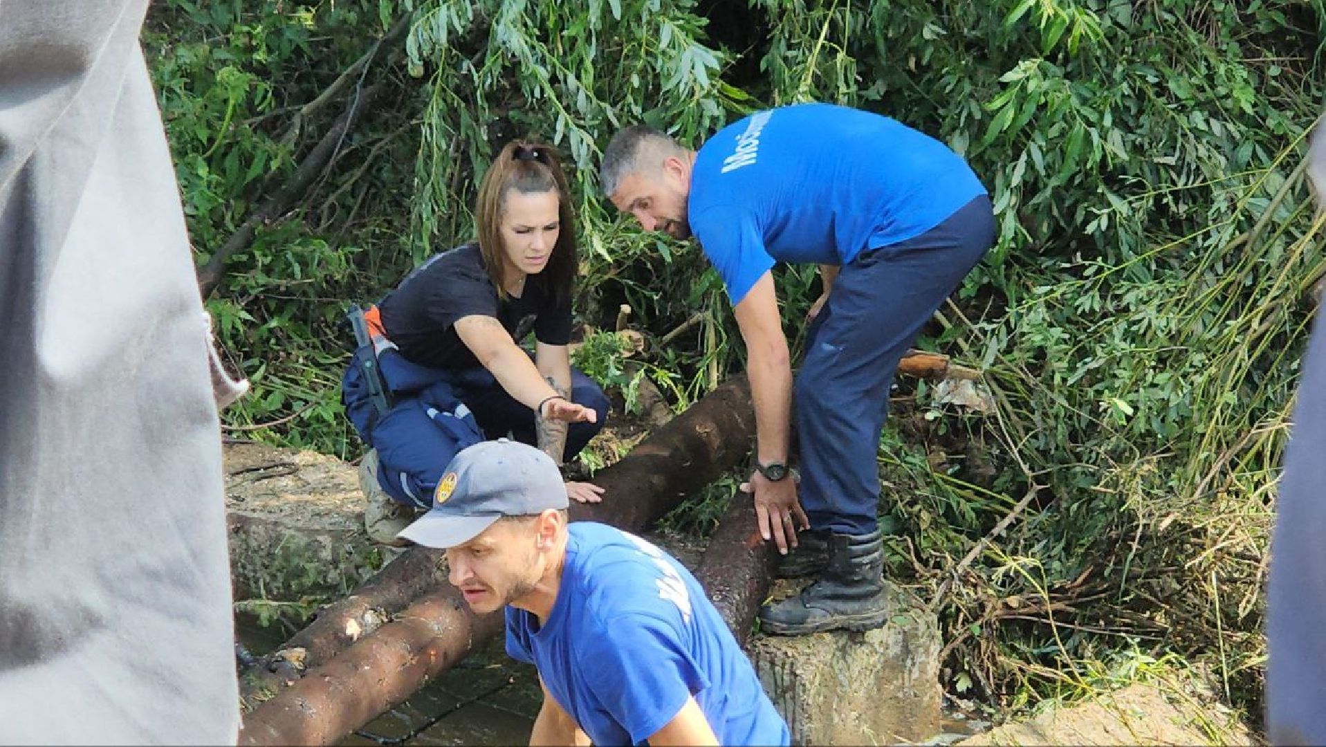 Истра, ЧП, Дороги,