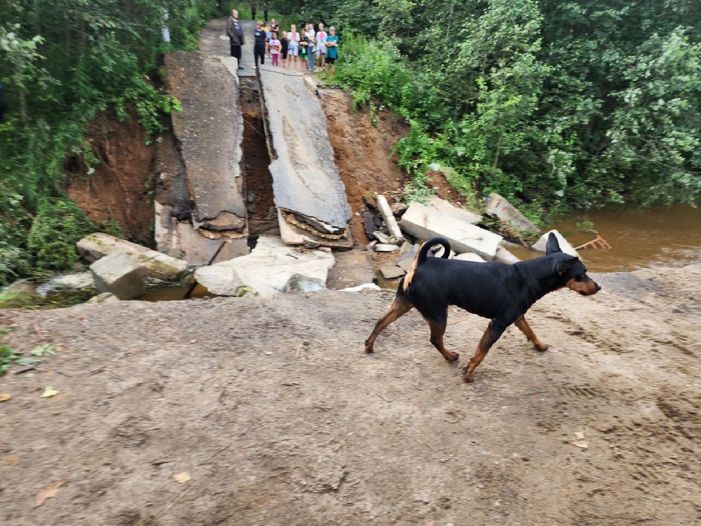 Истра, ЧП, Дороги,