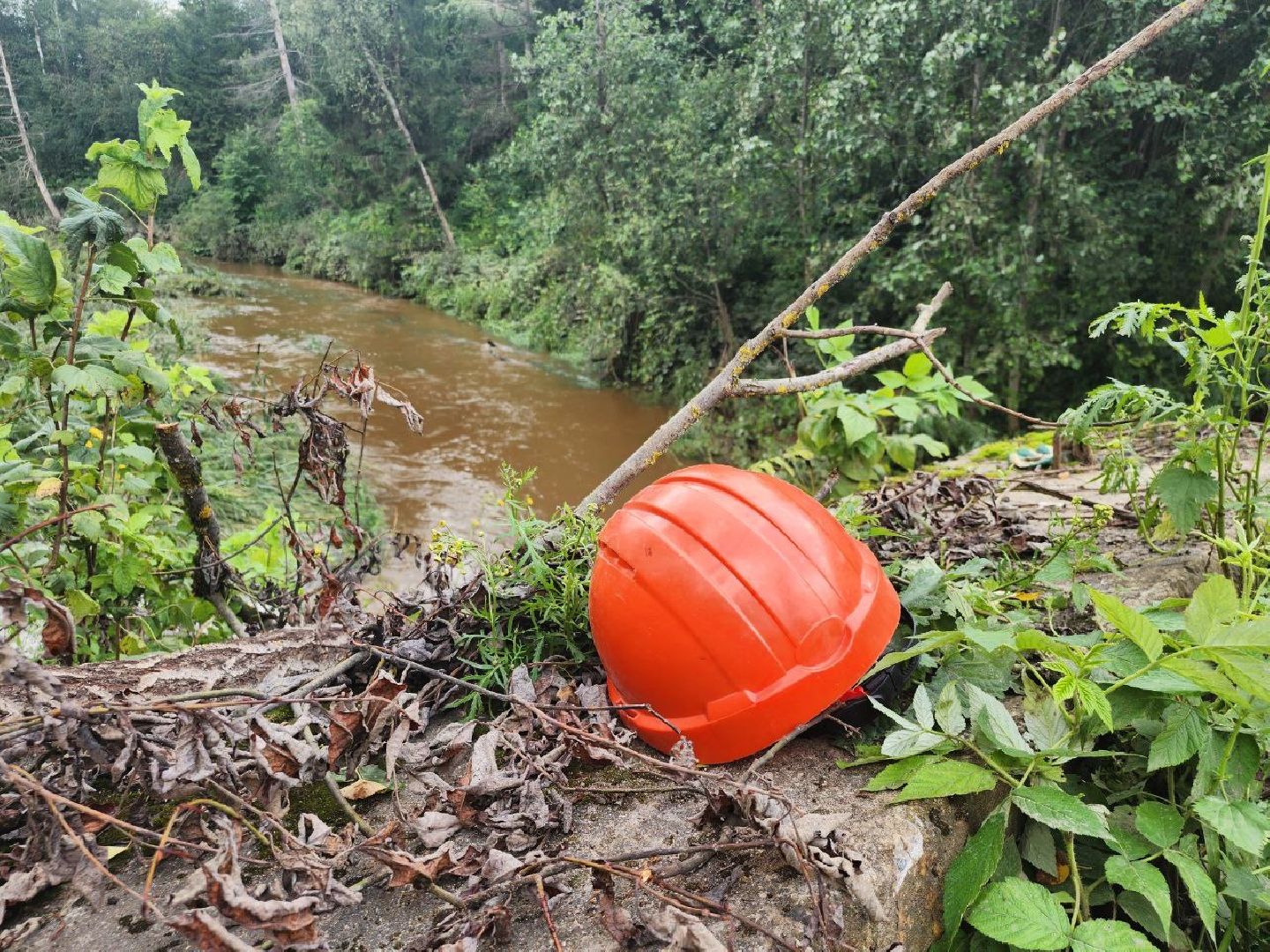 Истра, ЧП, Дороги,