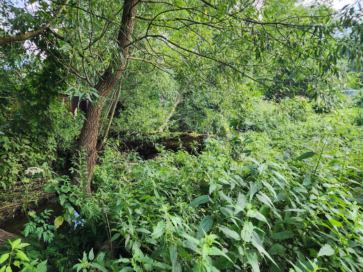 выездная администрация, прием жителей, подтопления, ногинск, богородский городской округ,