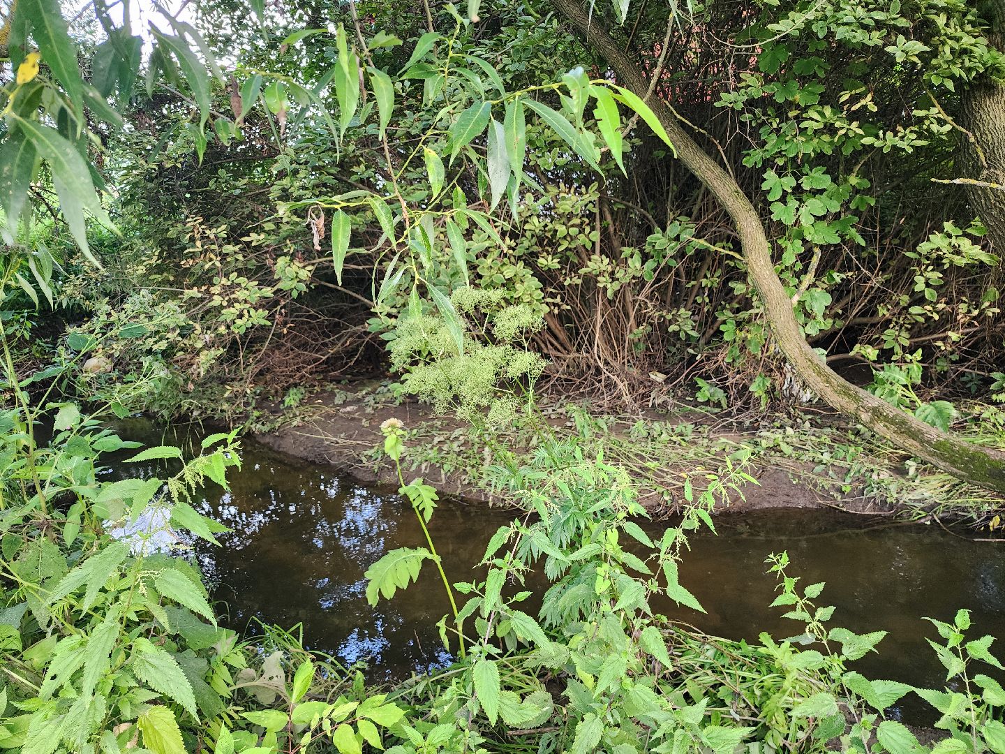 выездная администрация, прием жителей, подтопления, ногинск, богородский городской округ,
