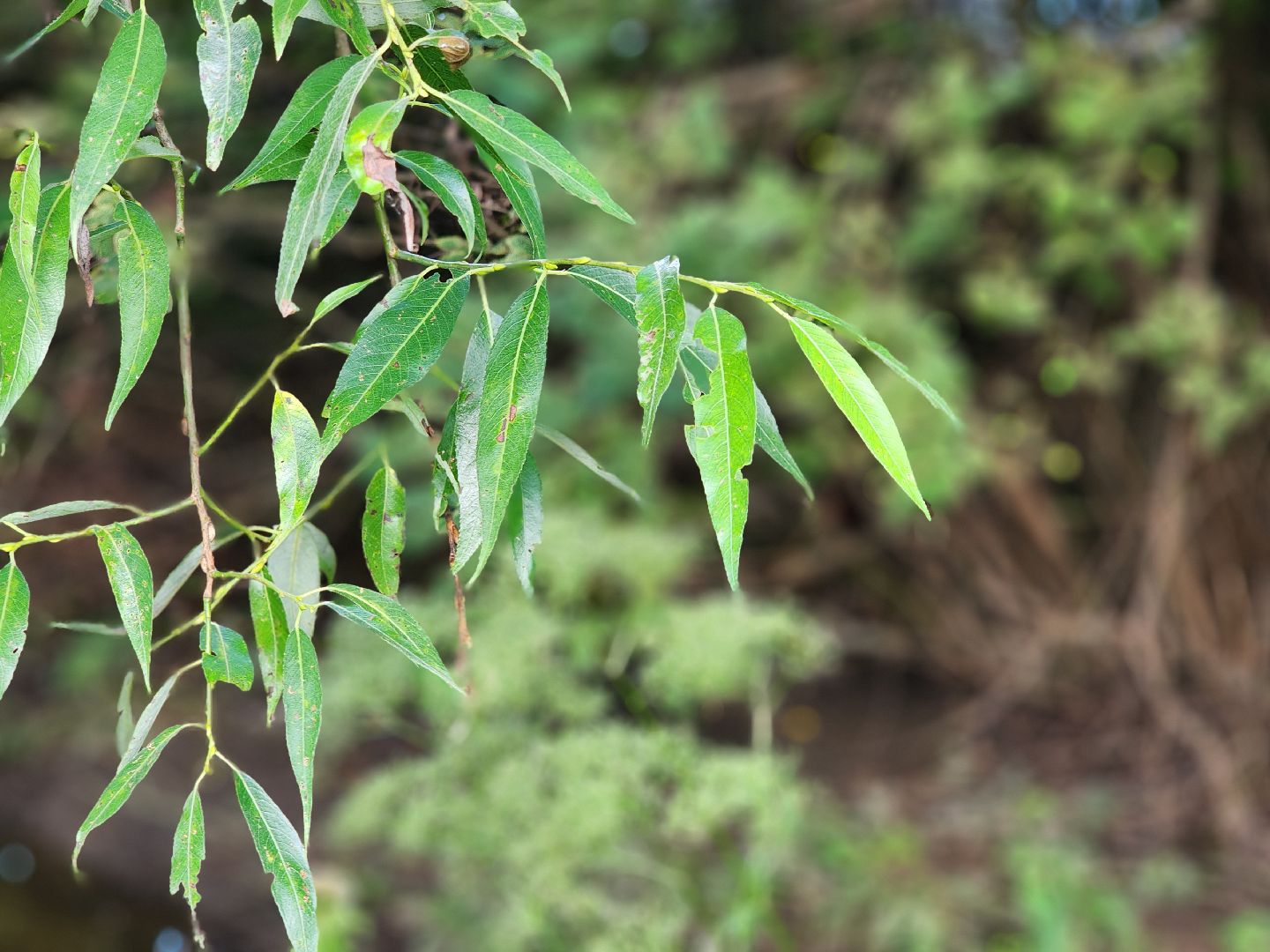 выездная администрация, прием жителей, подтопления, ногинск, богородский городской округ,