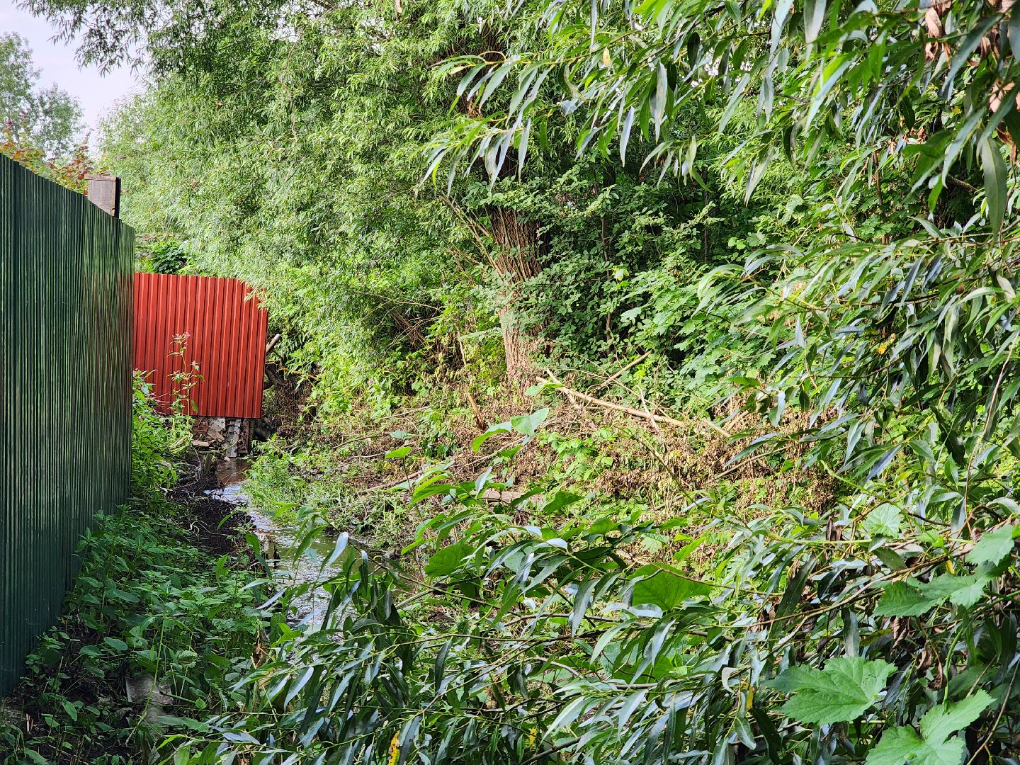 выездная администрация, прием жителей, подтопления, ногинск, богородский городской округ,