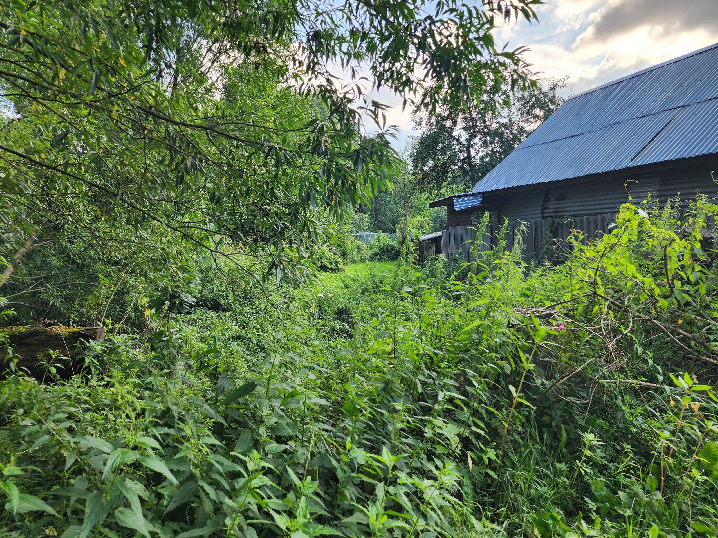 выездная администрация, прием жителей, подтопления, ногинск, богородский городской округ,