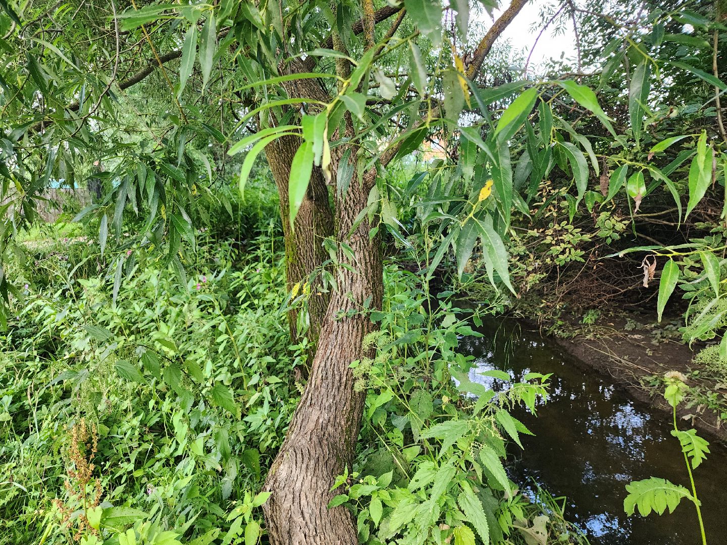выездная администрация, прием жителей, подтопления, ногинск, богородский городской округ,