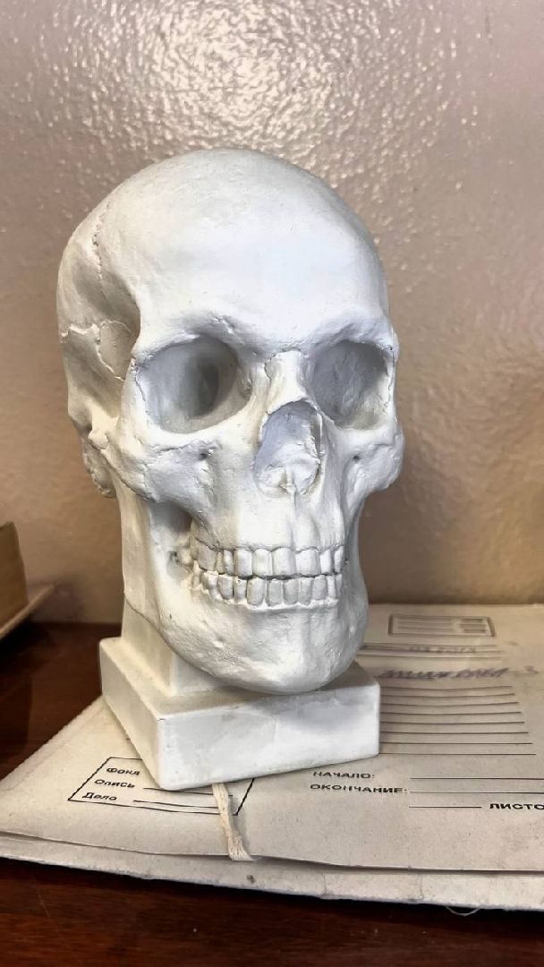 пересвет, сергиево-посадский городской округ, фмба россии, медсанчасть, мозгобойня,