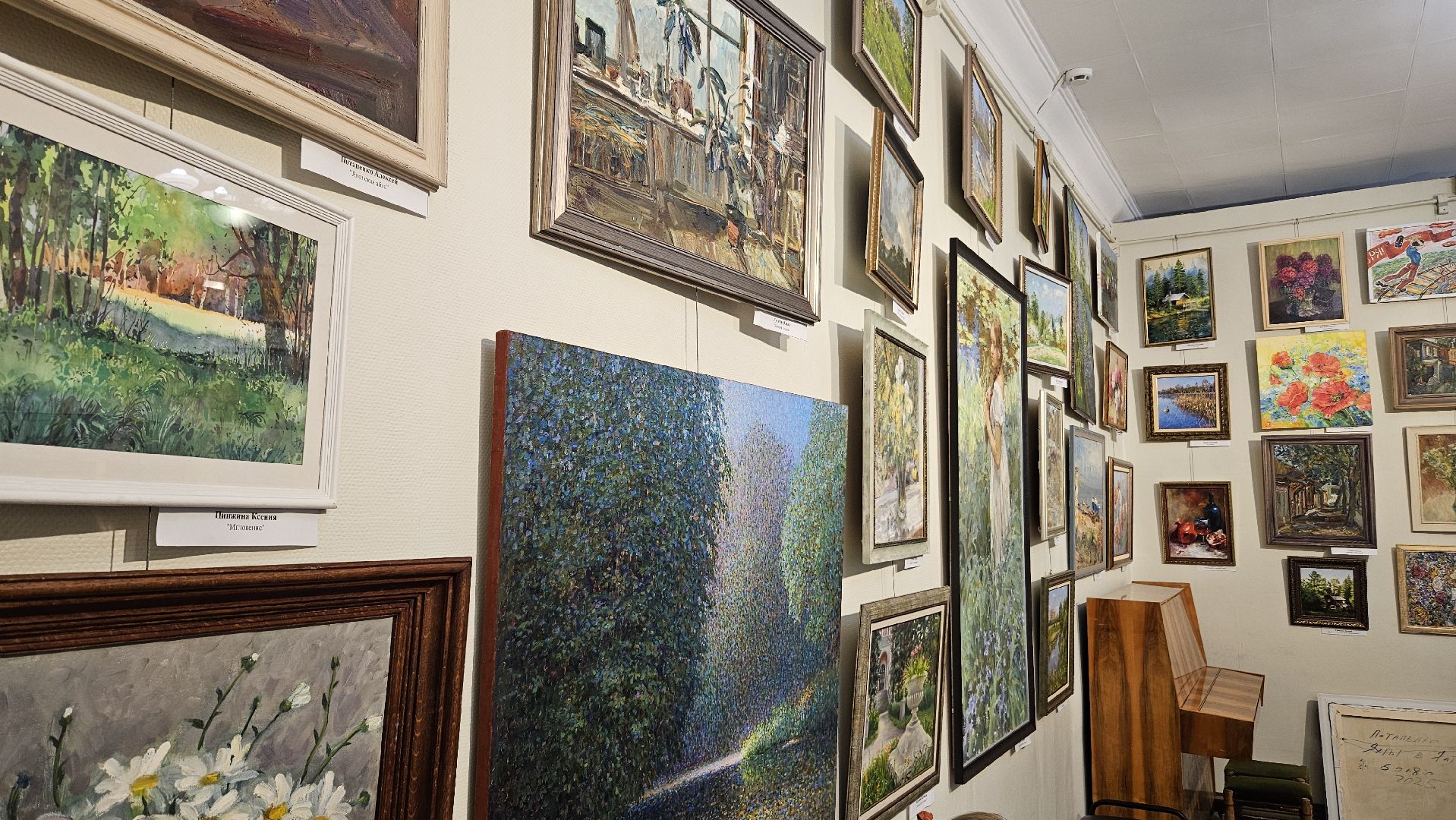 художница, жуковский, выставка,