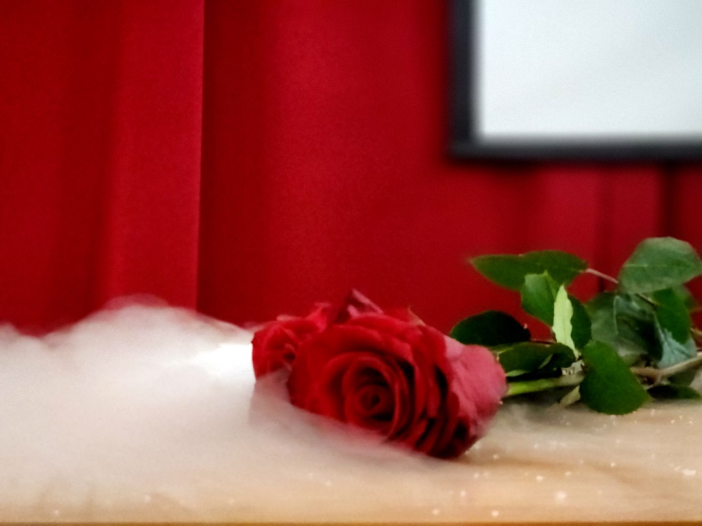 дубна, университет дубна, оияи, летняя школа, эксперименты, наука, образование,