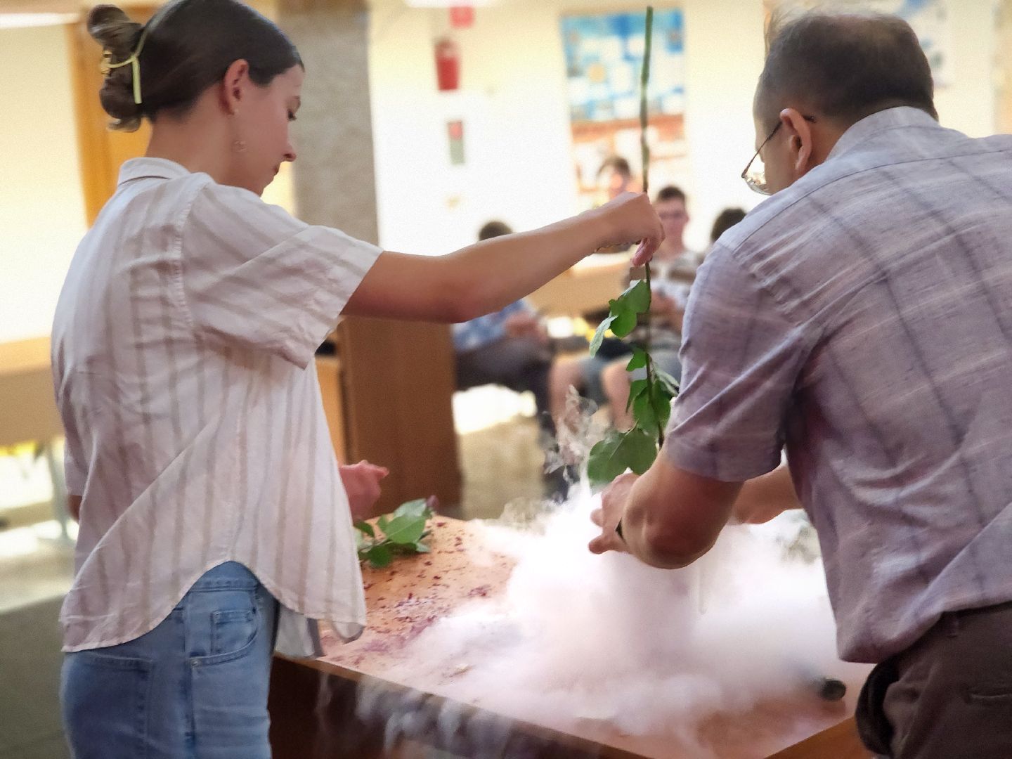 дубна, университет дубна, оияи, летняя школа, эксперименты, наука, образование,