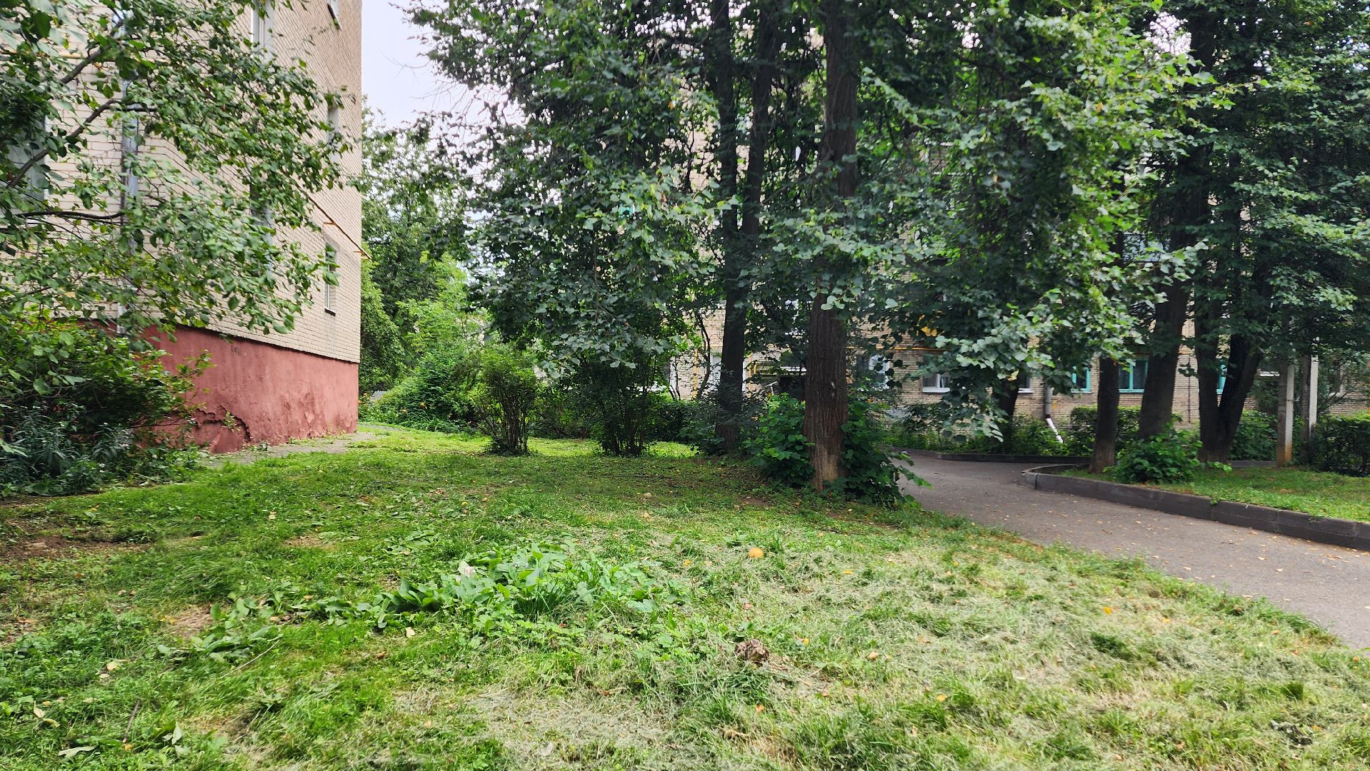 народная тропа, пешеходная дорога, пешеходная дорожка, тротуар, домодедово, подмосковье, жкх,