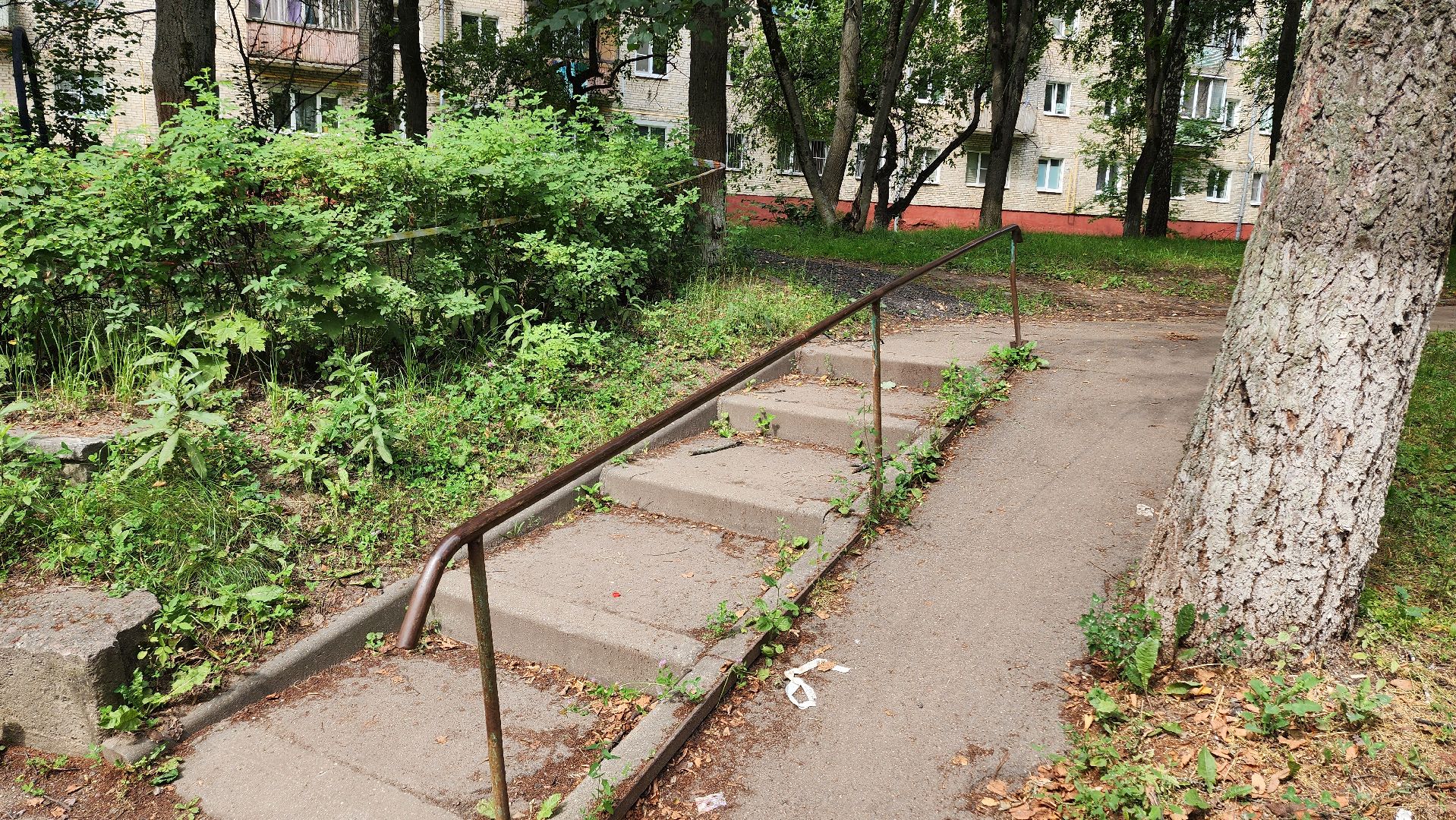 народная тропа, пешеходная дорога, пешеходная дорожка, тротуар, домодедово, подмосковье, жкх,