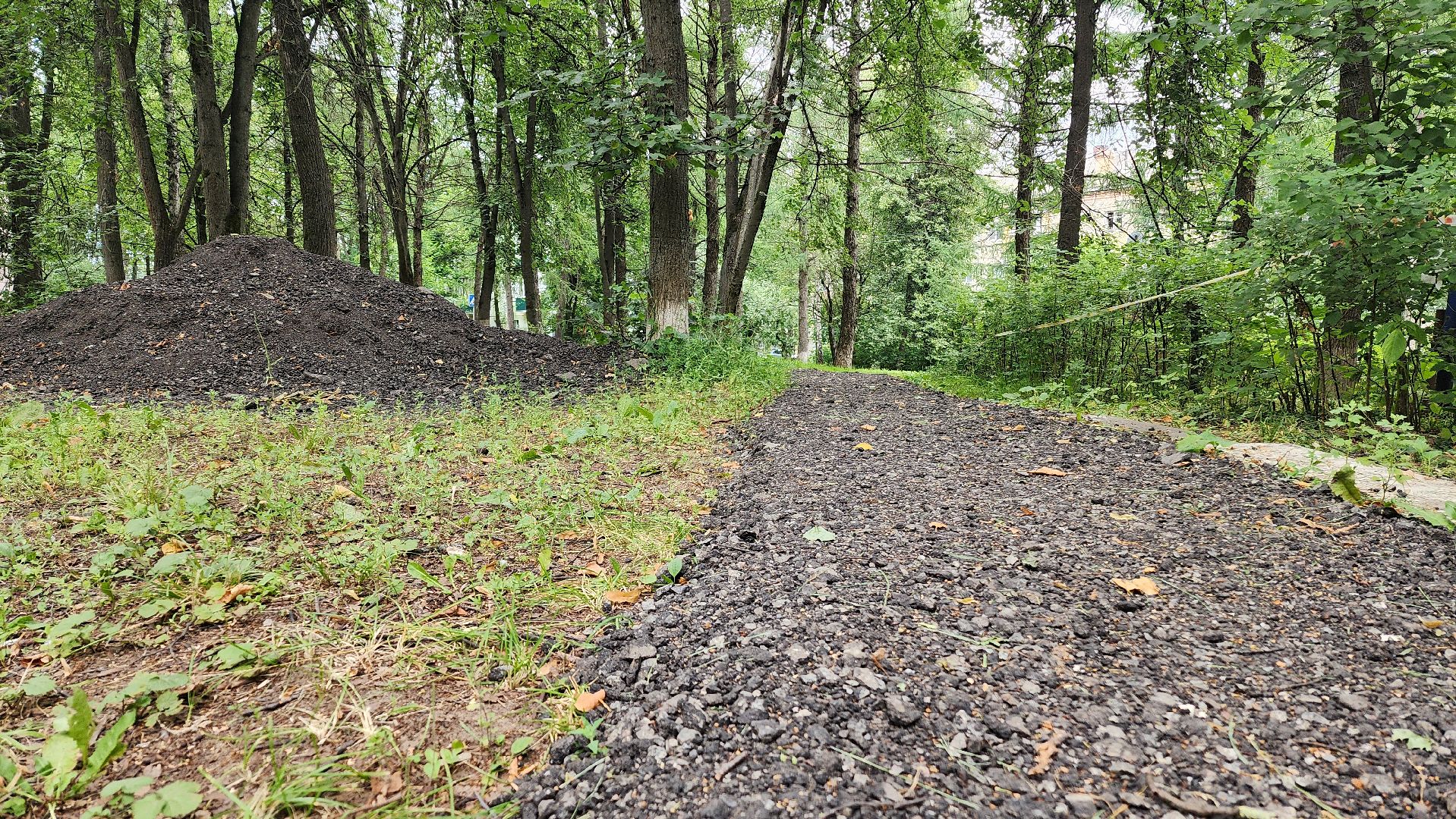 народная тропа, пешеходная дорога, пешеходная дорожка, тротуар, домодедово, подмосковье, жкх,