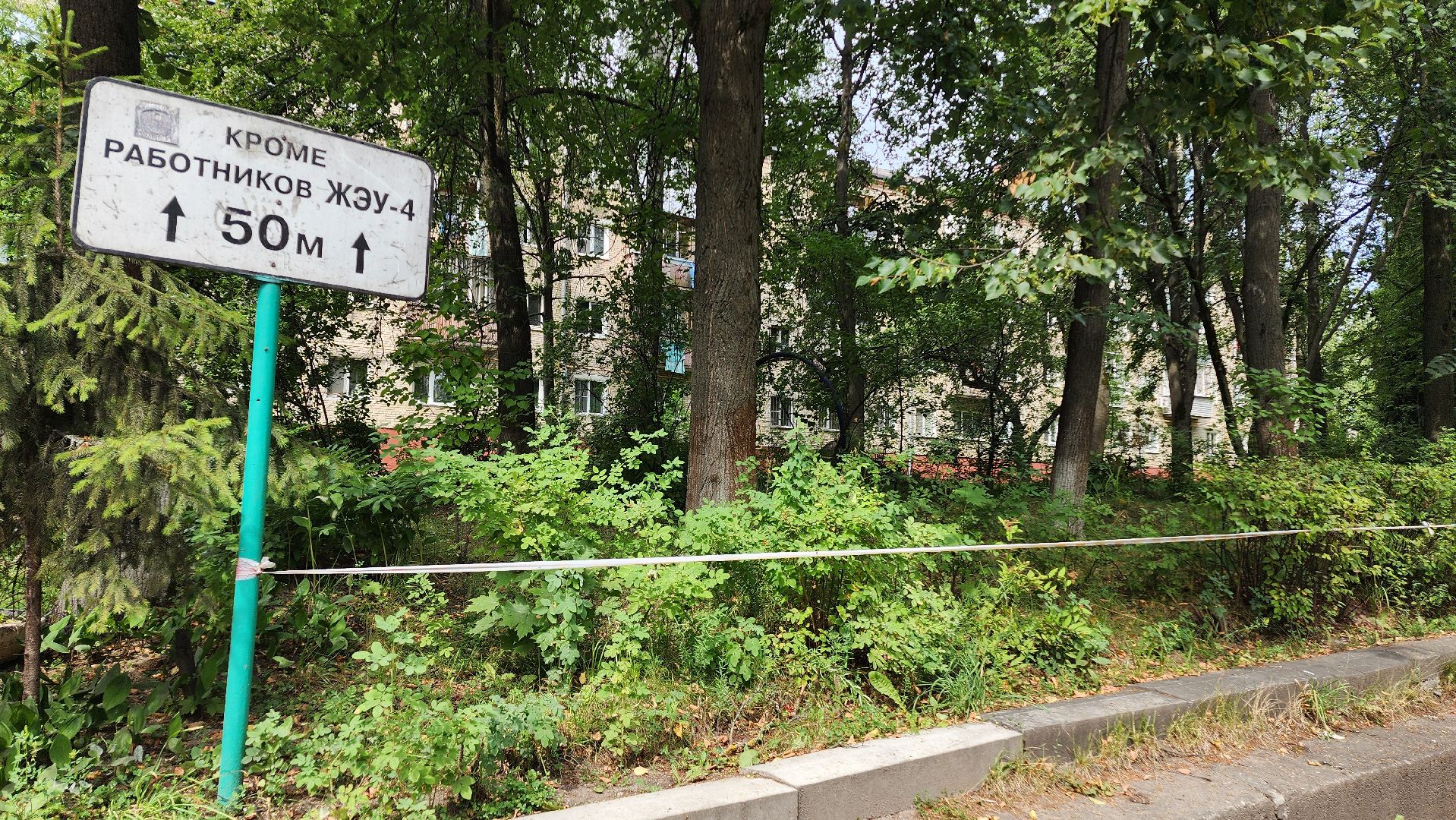 народная тропа, пешеходная дорога, пешеходная дорожка, тротуар, домодедово, подмосковье, жкх,