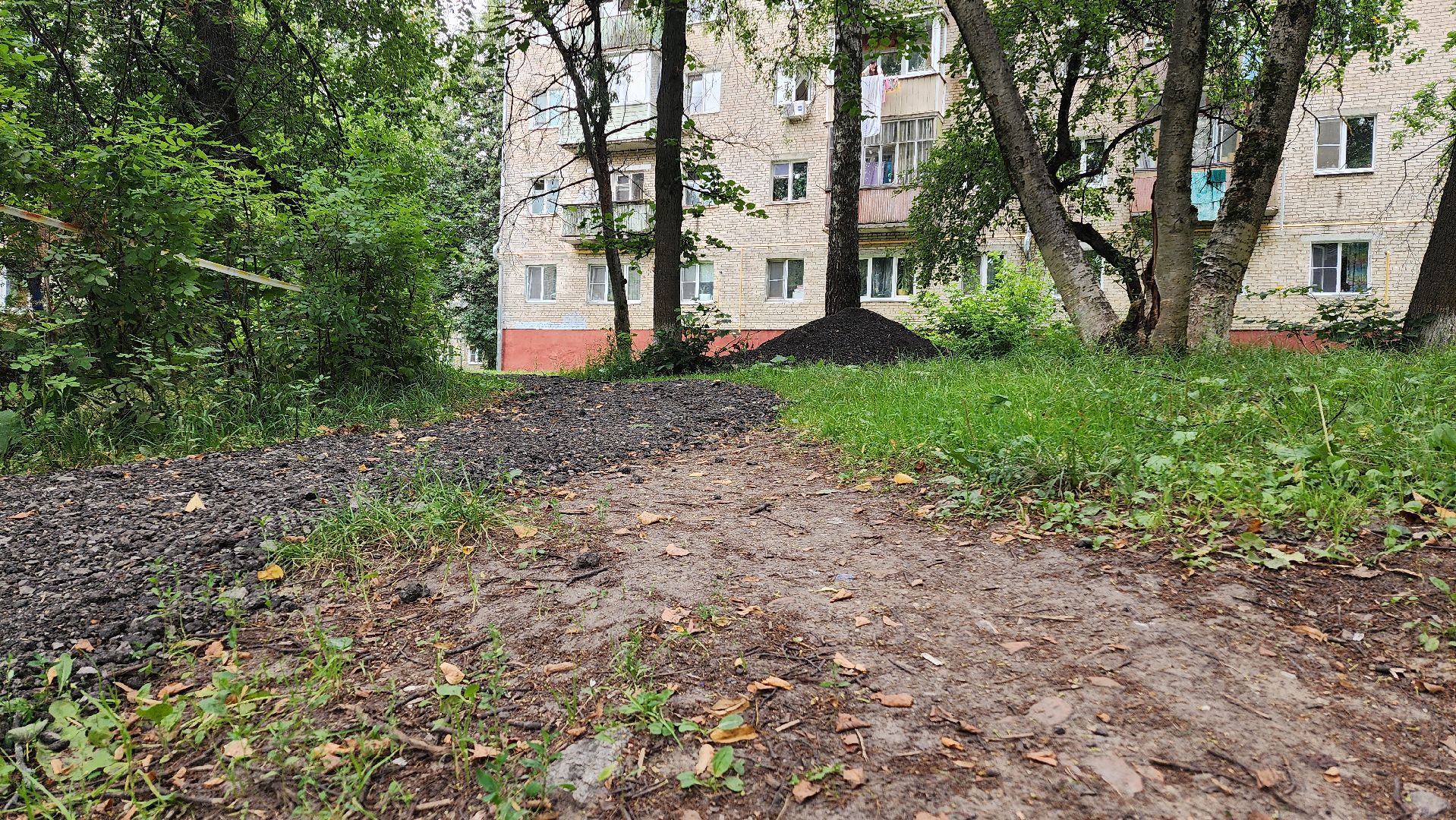 народная тропа, пешеходная дорога, пешеходная дорожка, тротуар, домодедово, подмосковье, жкх,